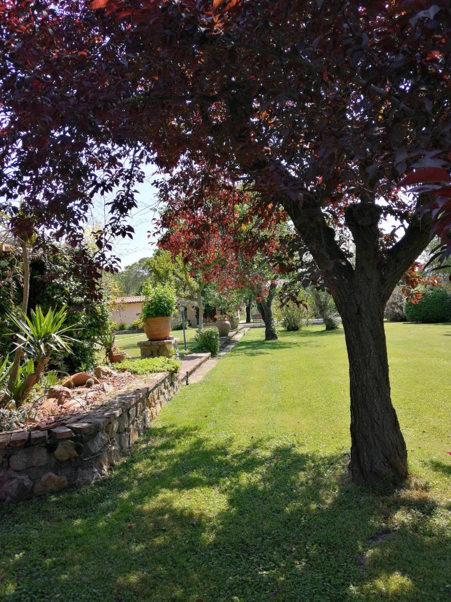 Photo 106