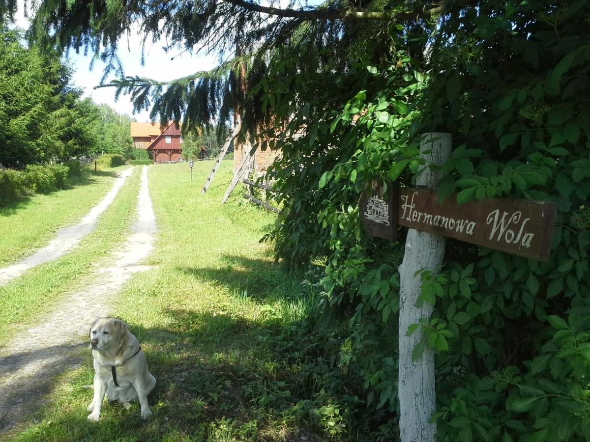 Photo 49