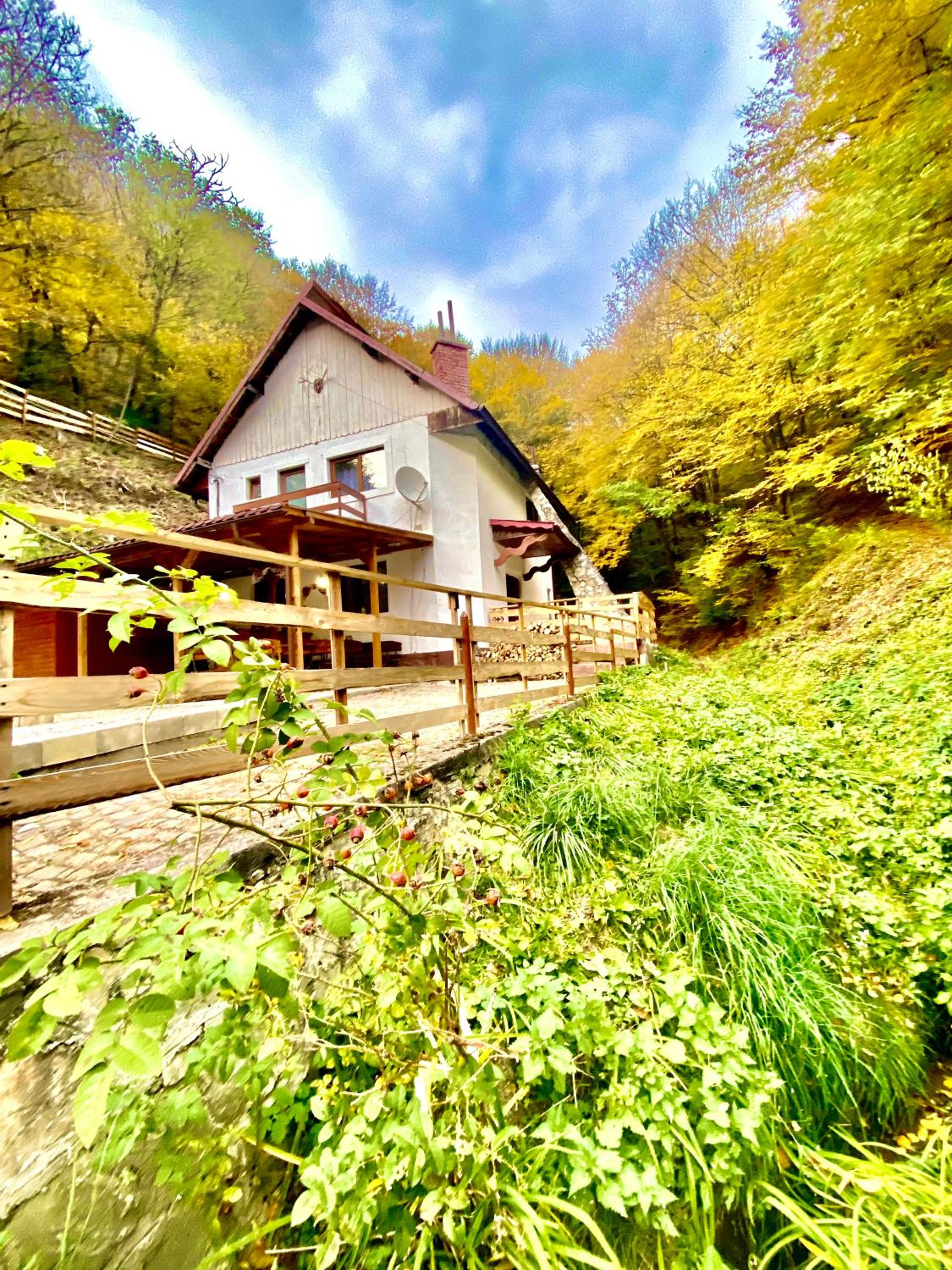 Căsuța din Pădure view 5