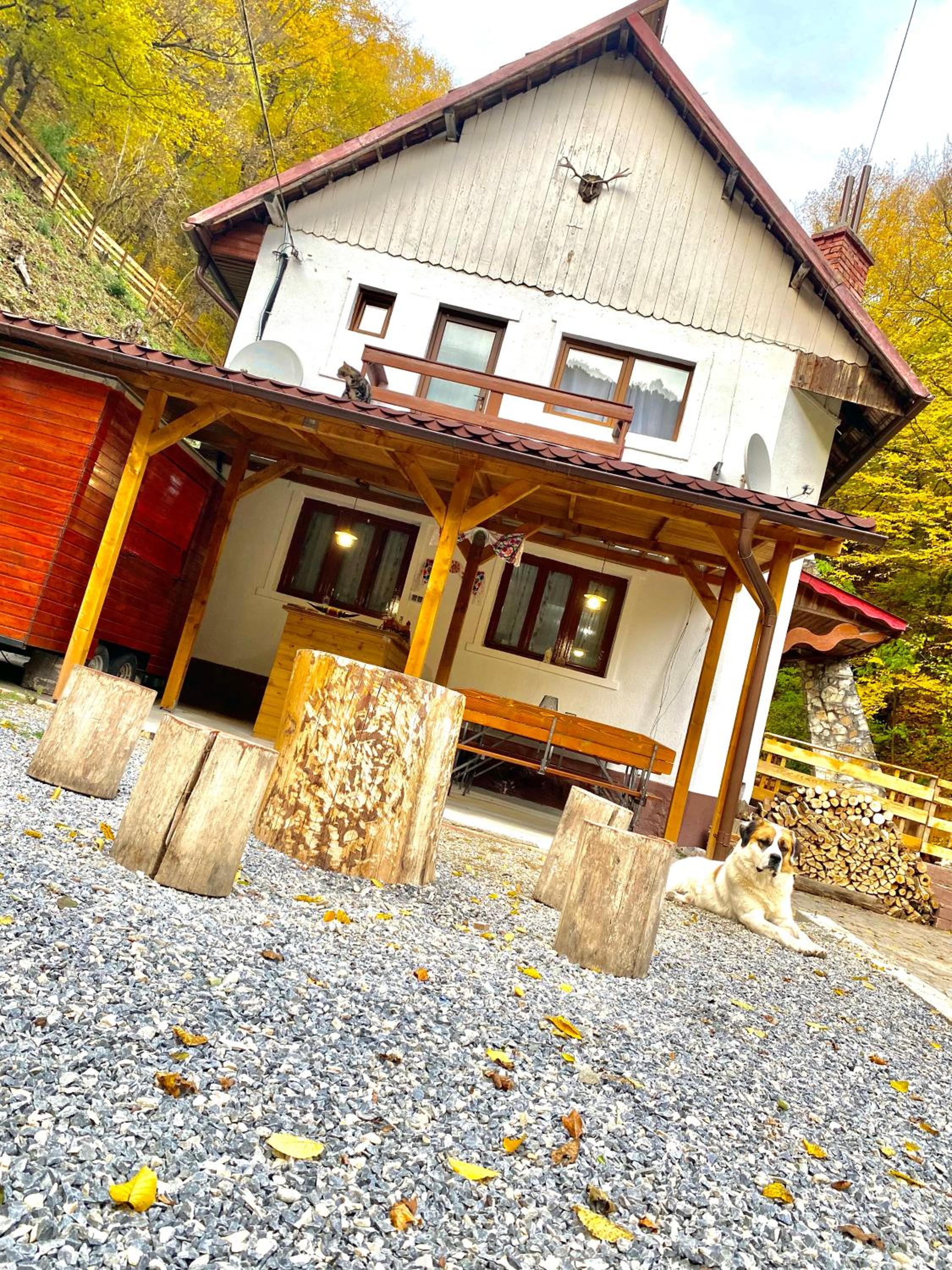 Photo 46