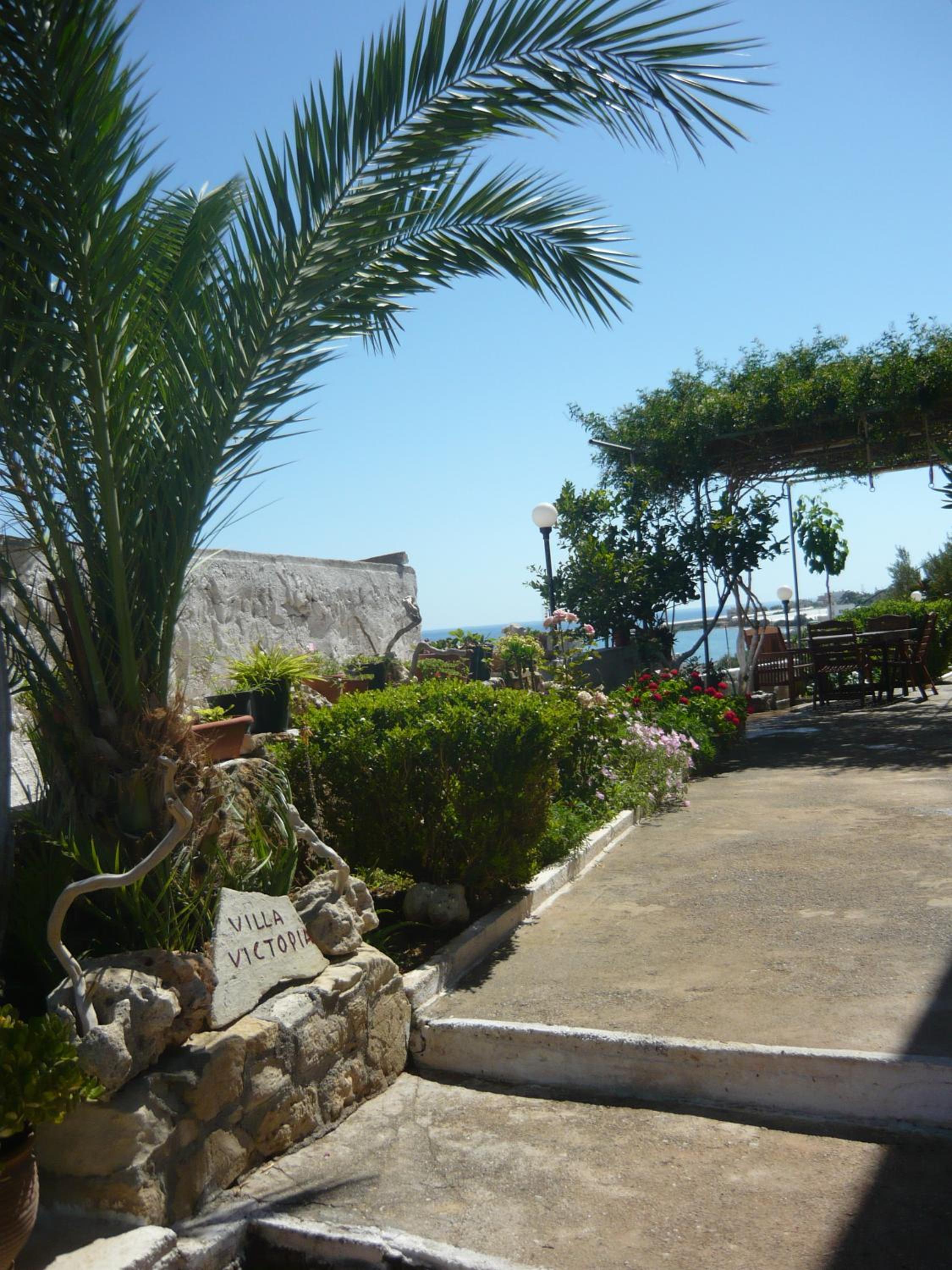 Photo 42
