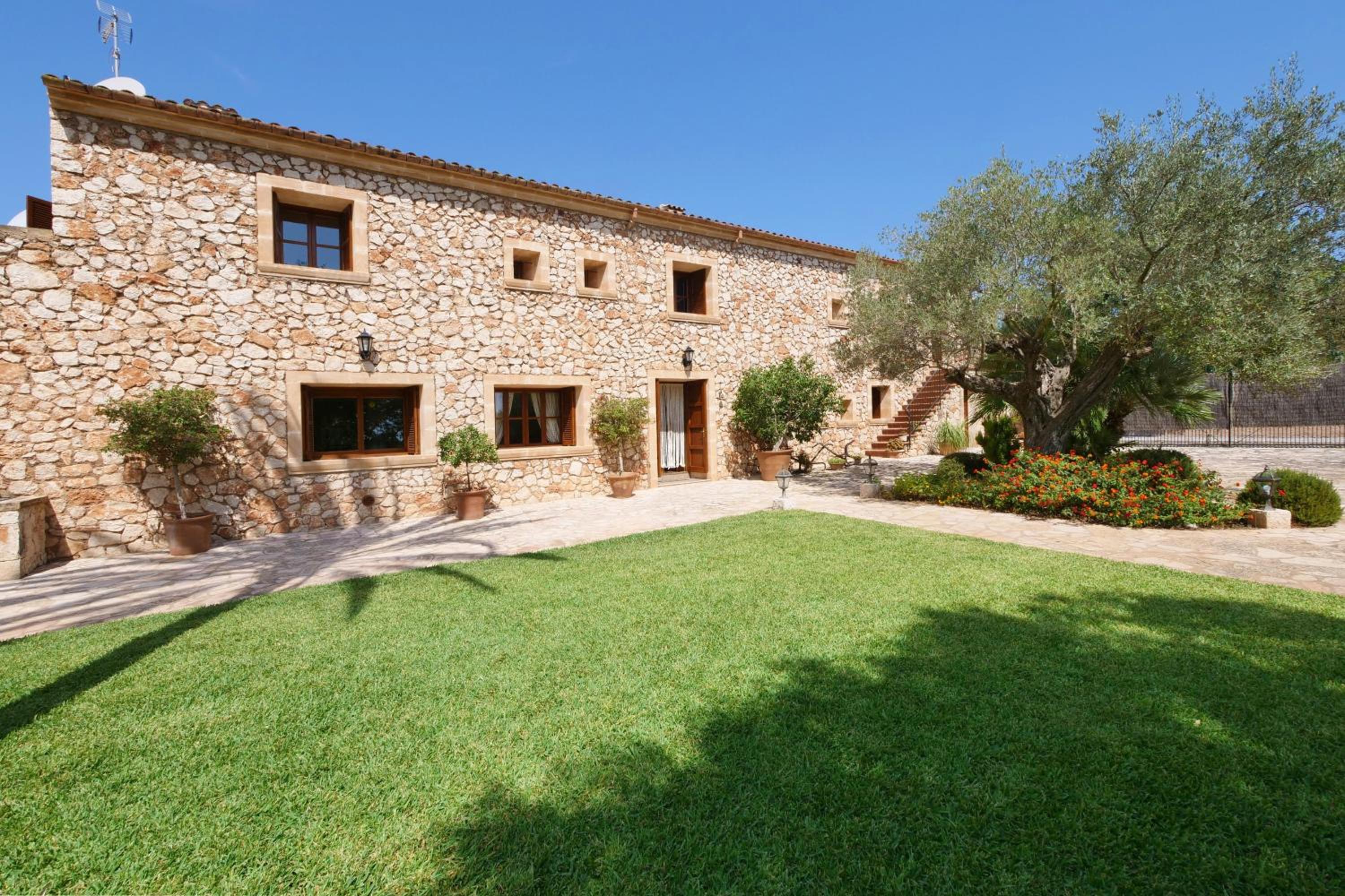 Finca Tort view 2