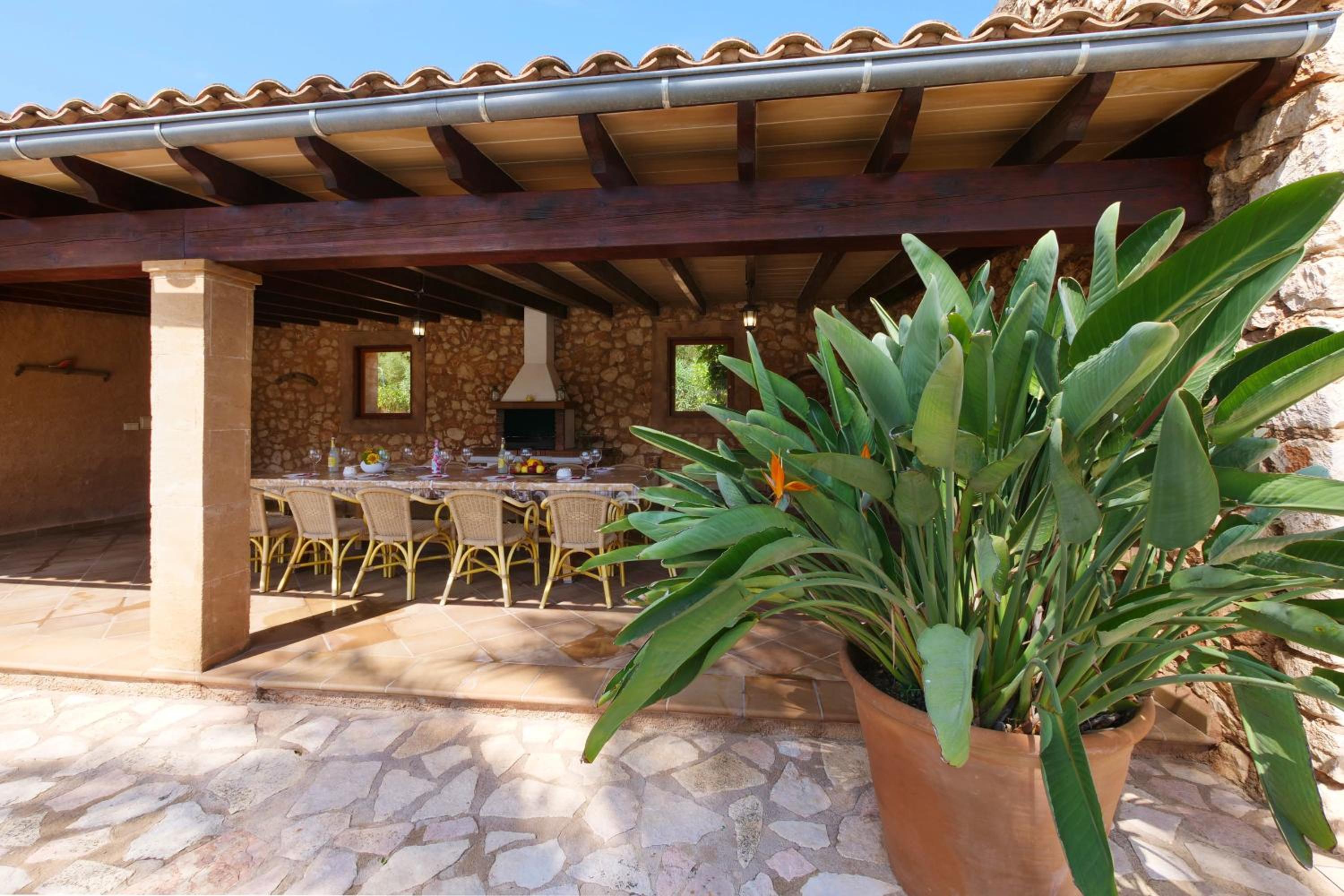 Finca Tort view 5
