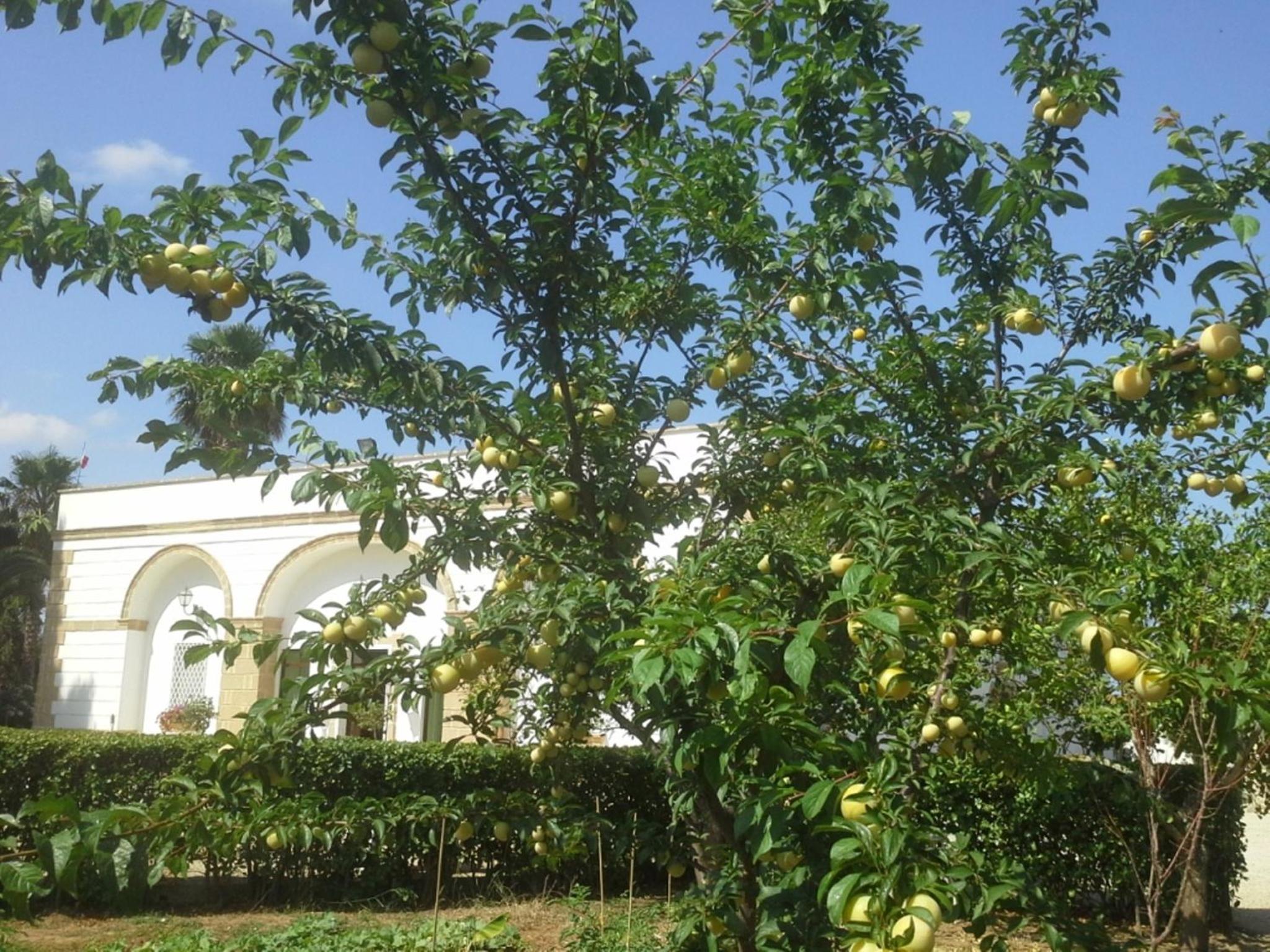Agriturismo Villantica