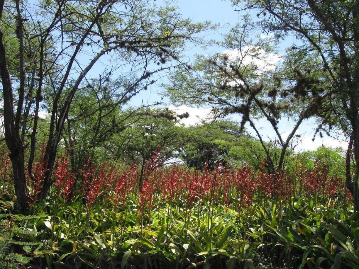 Inraki Lodge