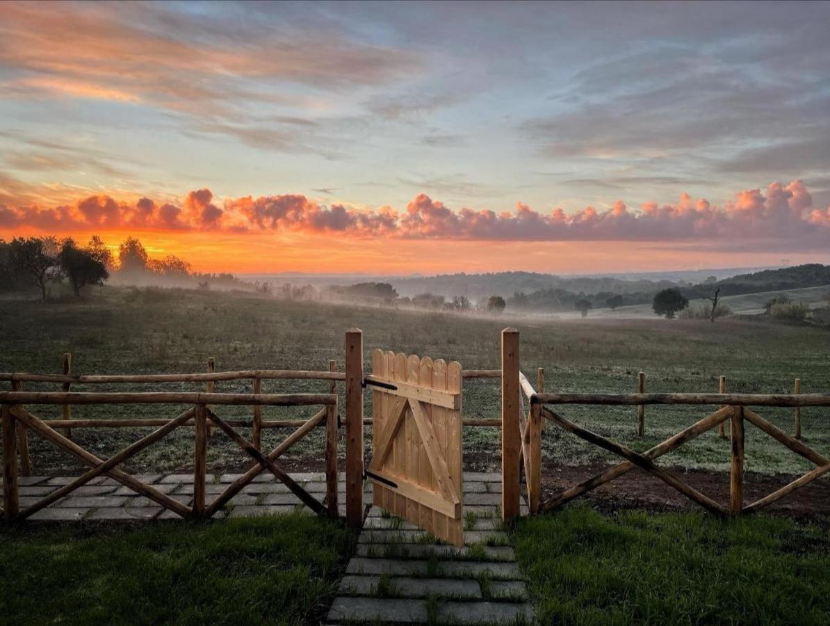 Agriturismo Poggio Degli Ulivi