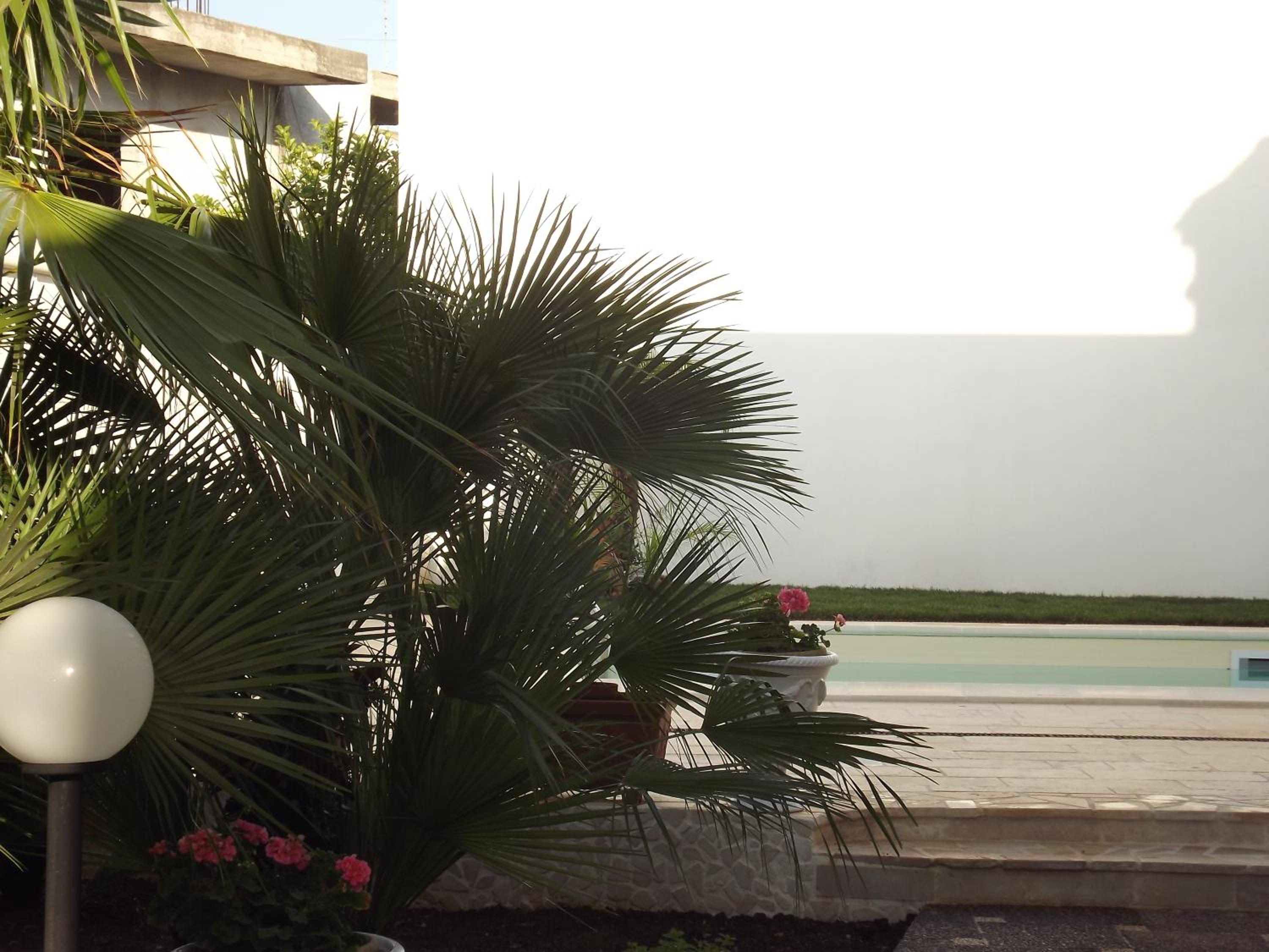 B&b La Balaustra en Andrano — recepcion & lobby