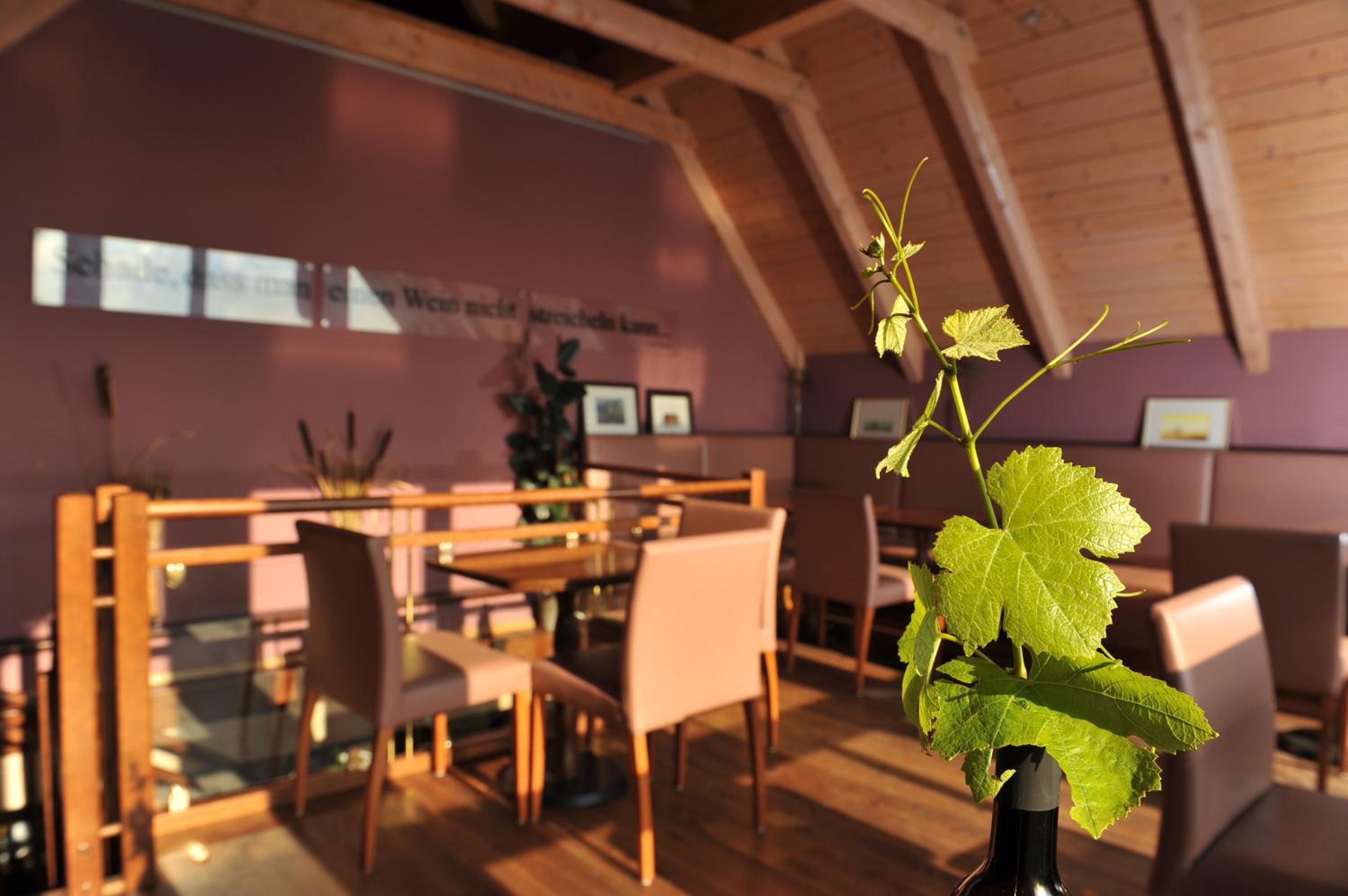 Weingut Reiterer