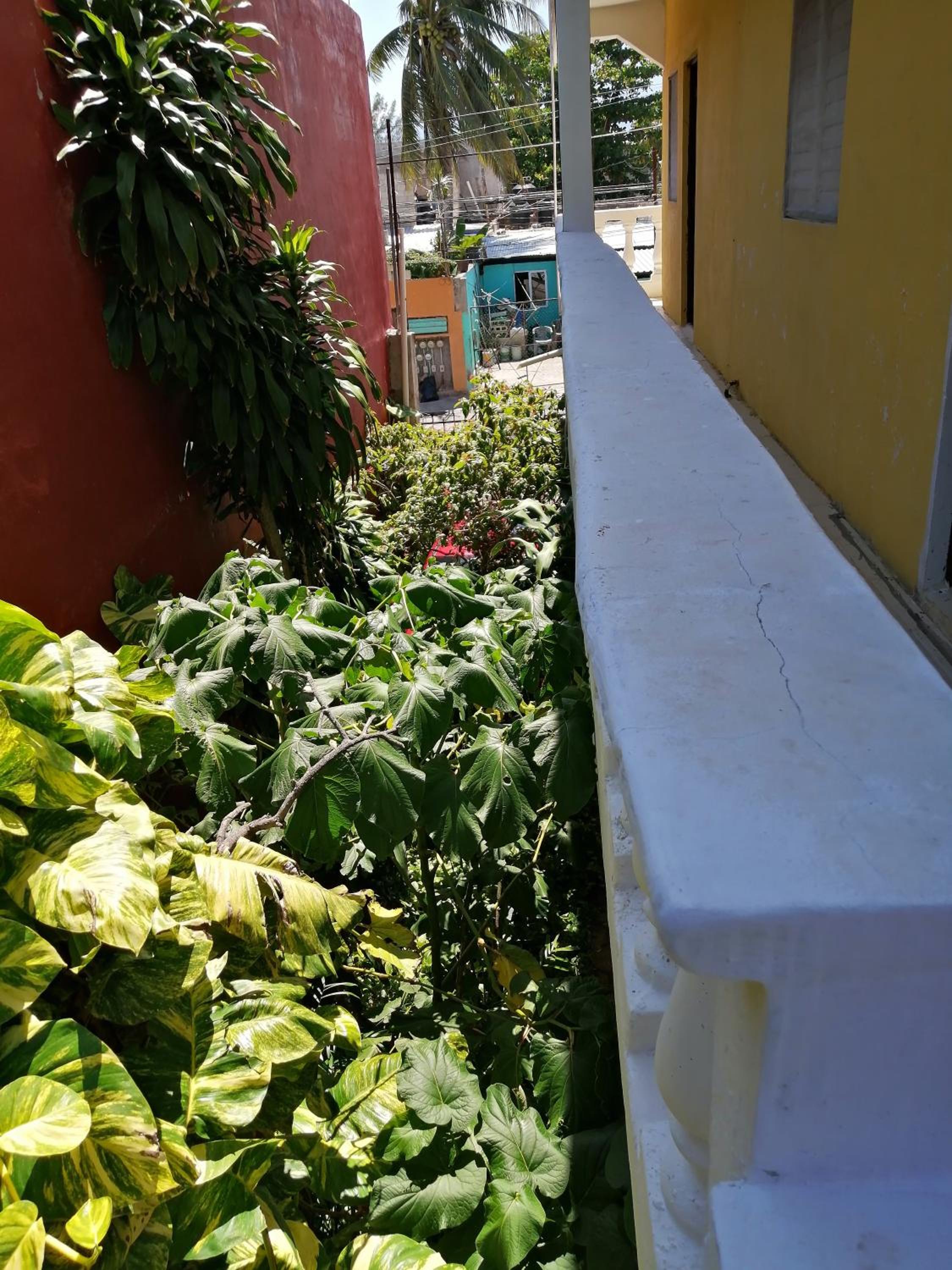 Tucán