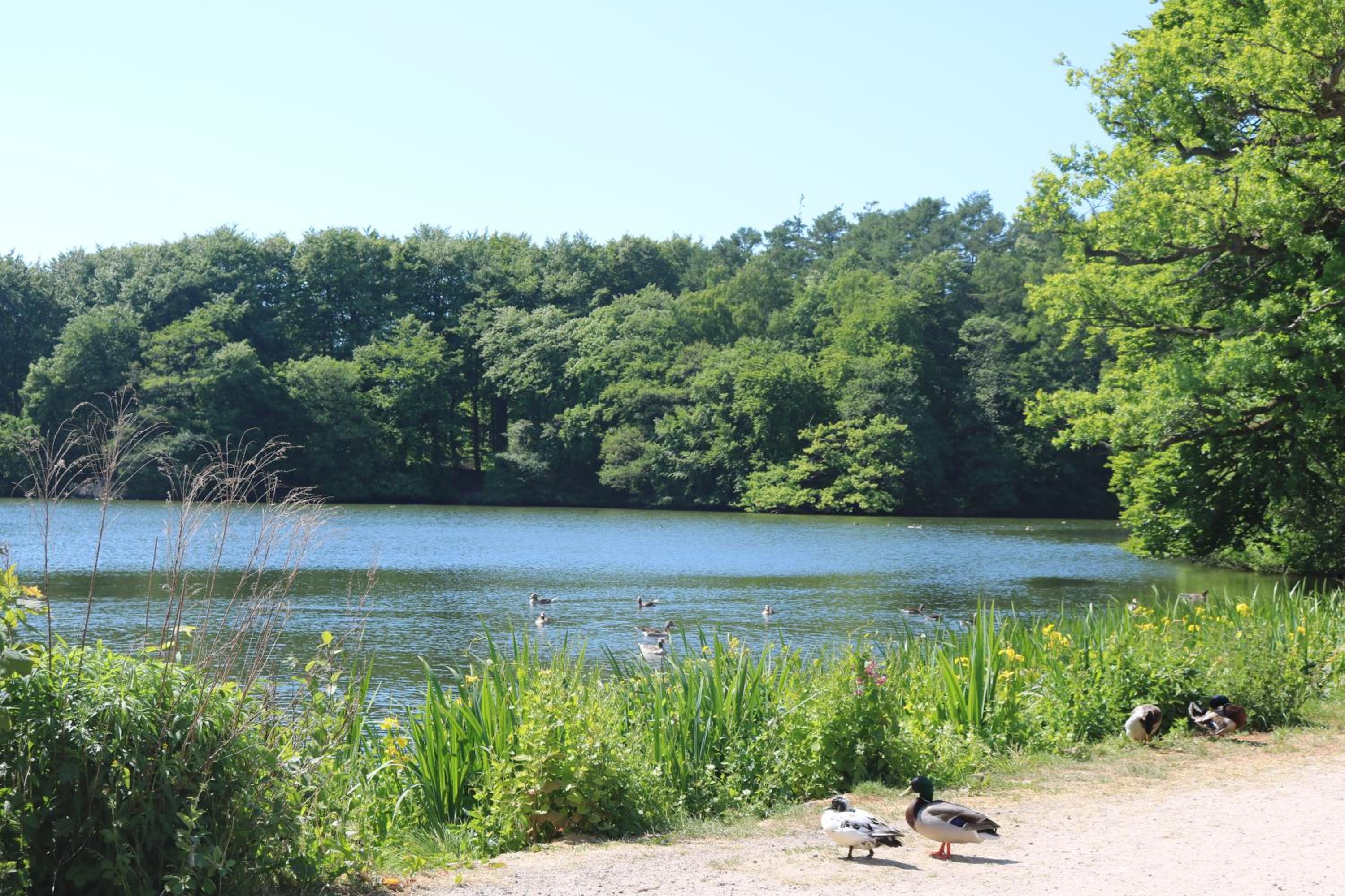 FEWO Seeblick