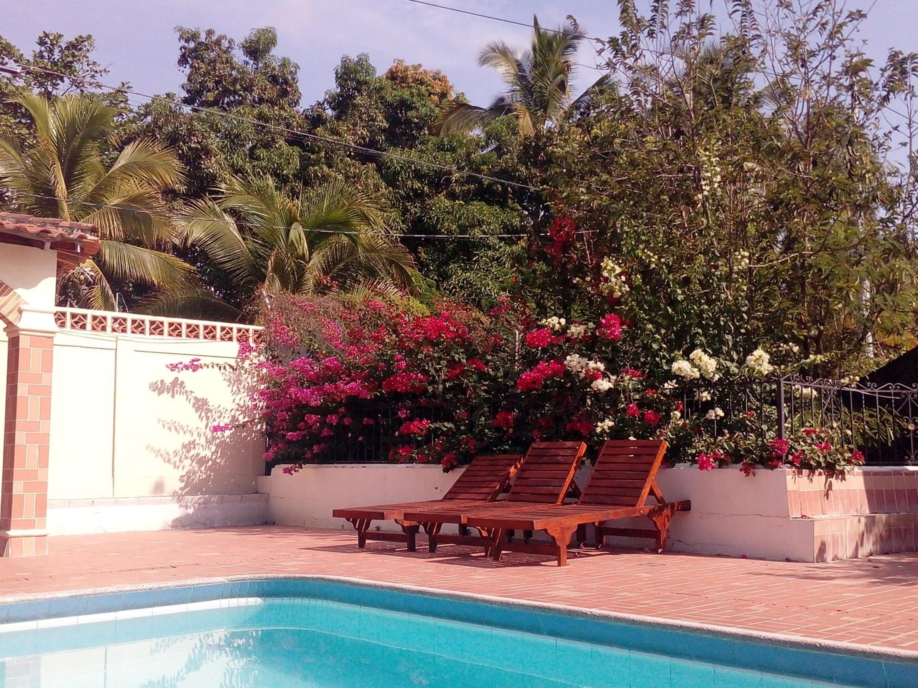 Photo 19