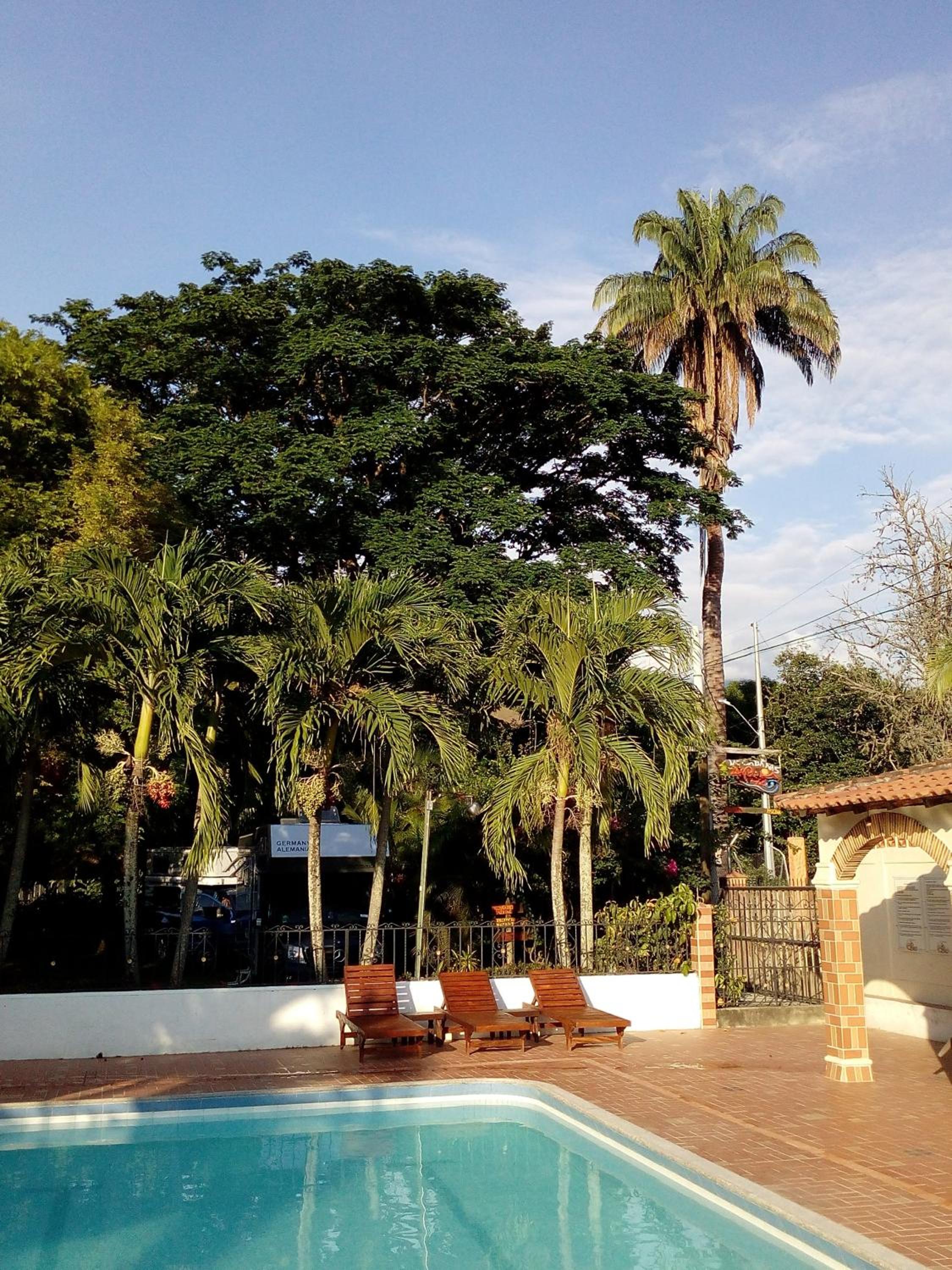 Photo 20