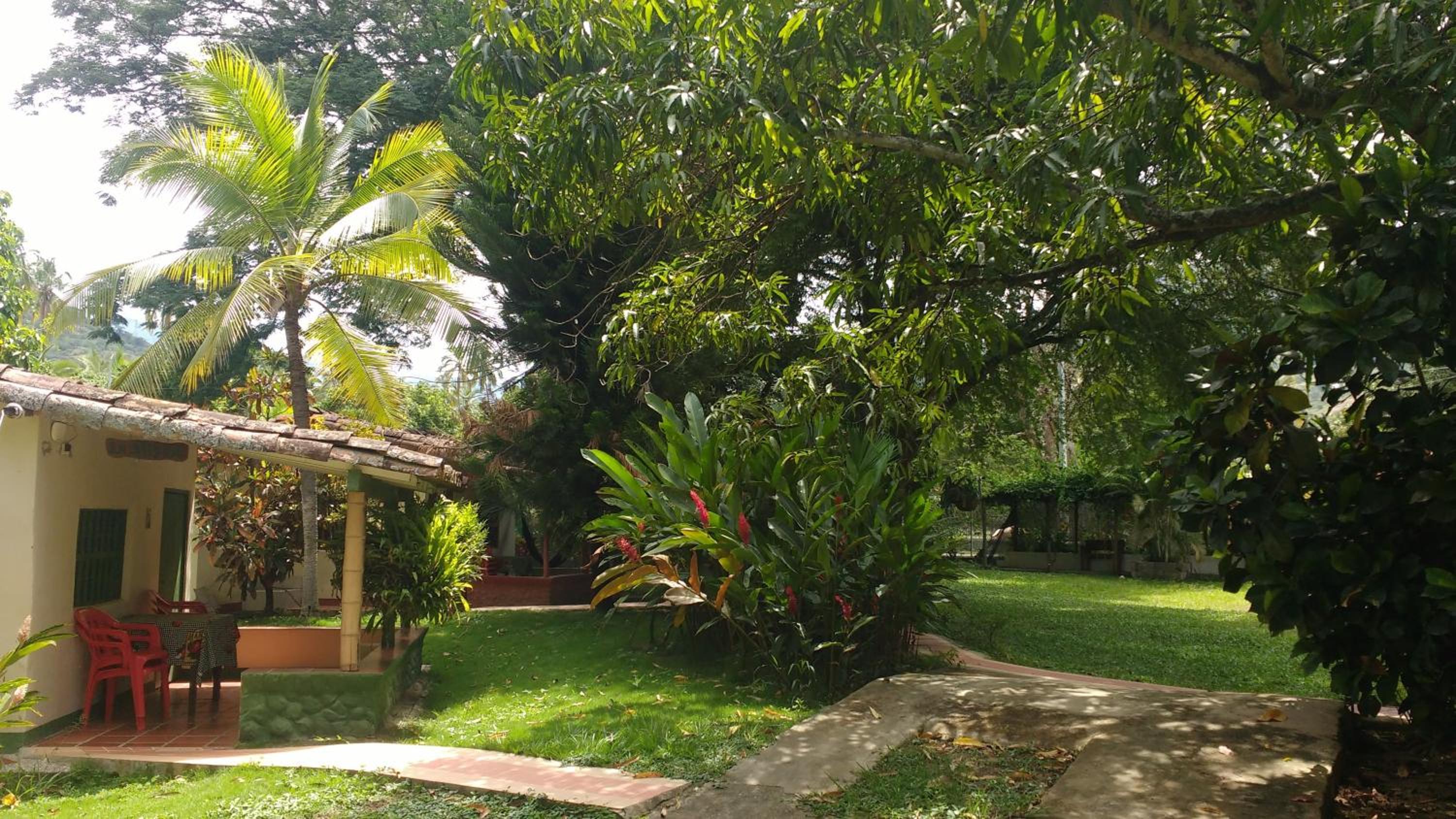 Photo 21