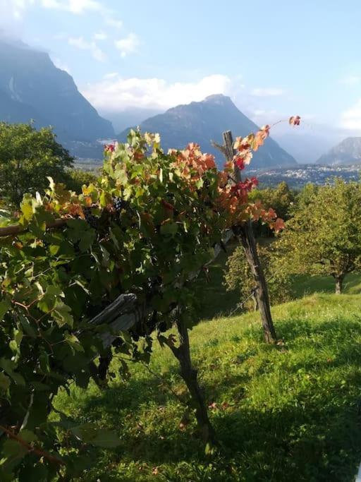 la casa nel prunent