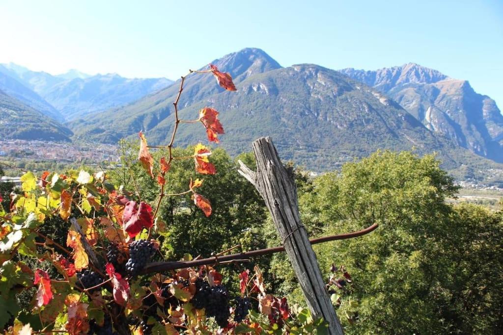 la casa nel prunent