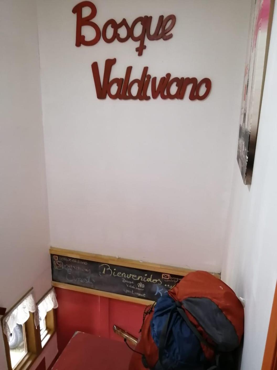 Bosque Valdiviano Apartment