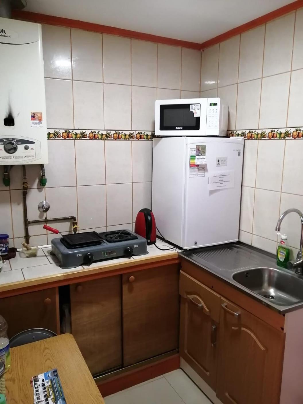 Bosque Valdiviano Apartment