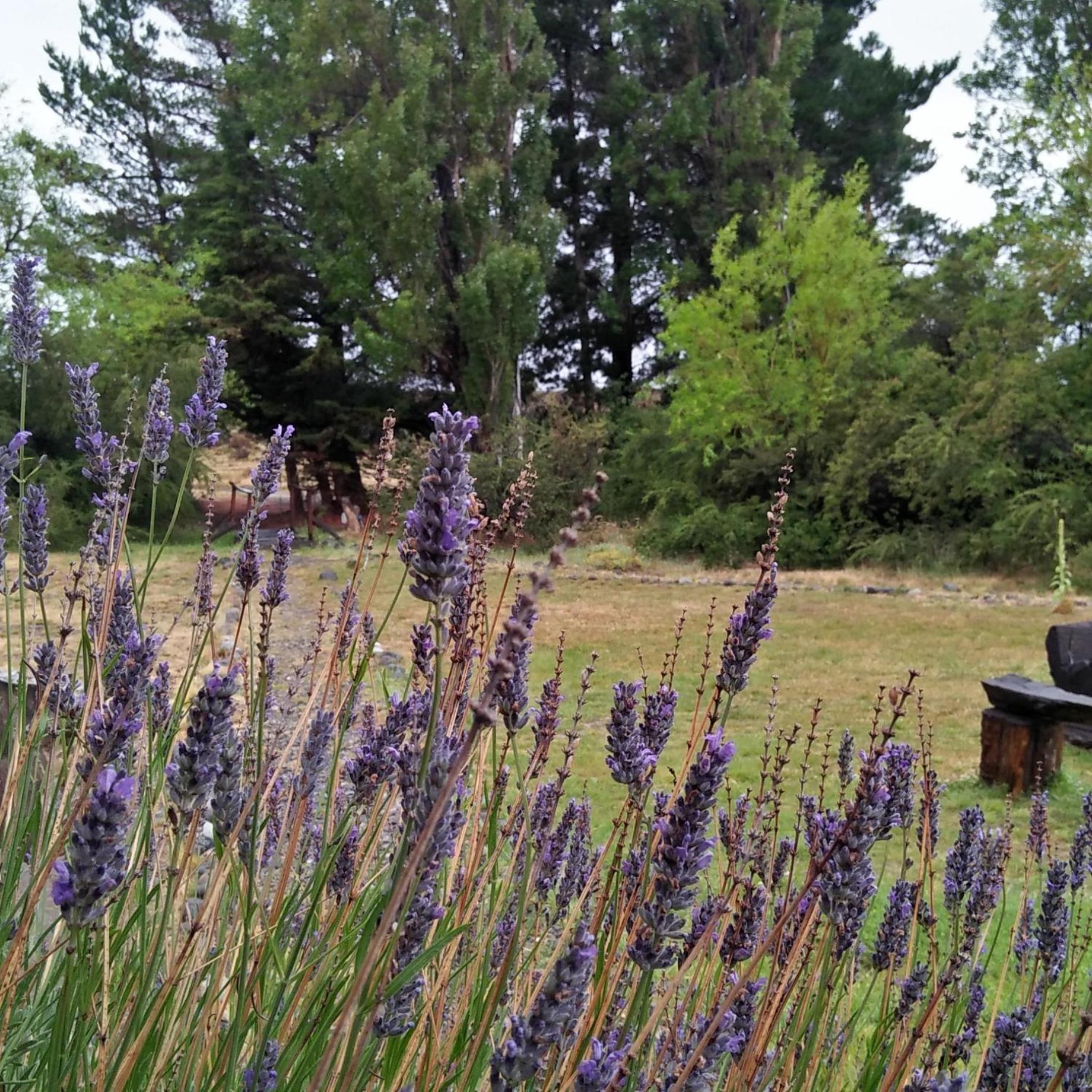 ESTANCIA LA SERENA