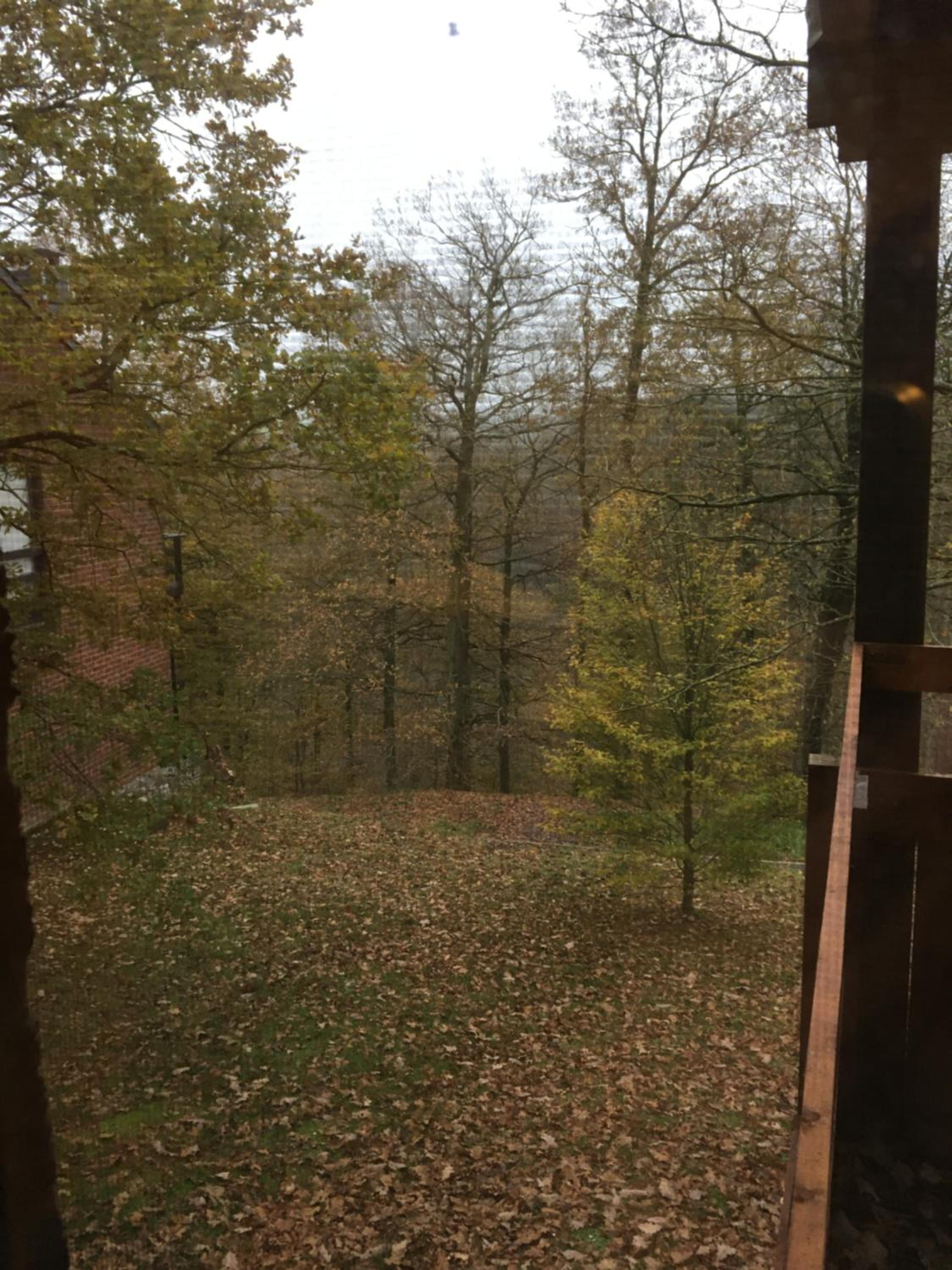 Arduena - Het Ardennetje