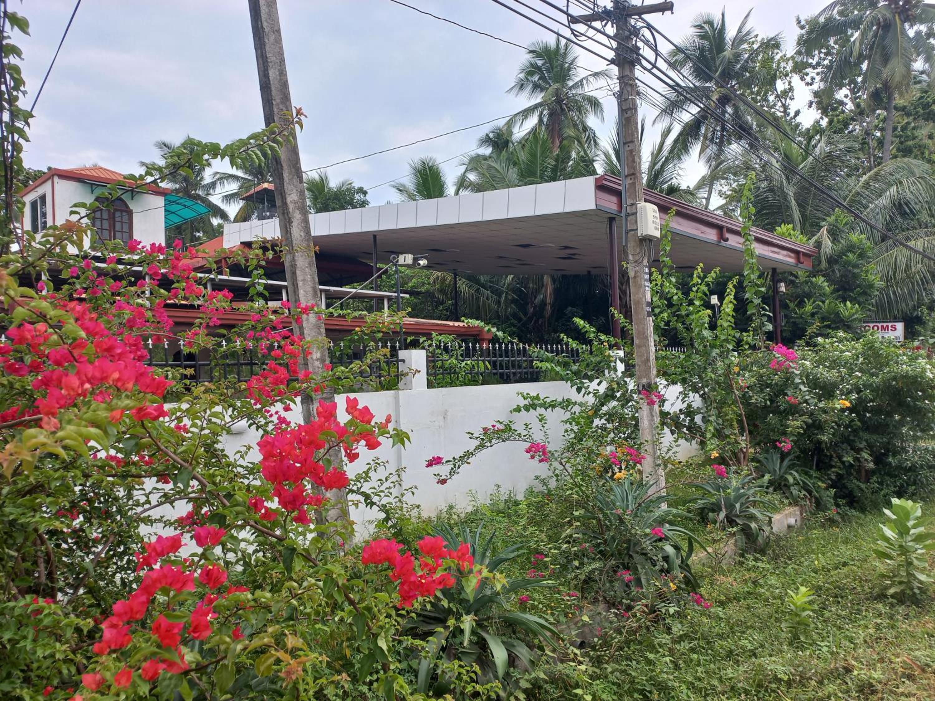 garden