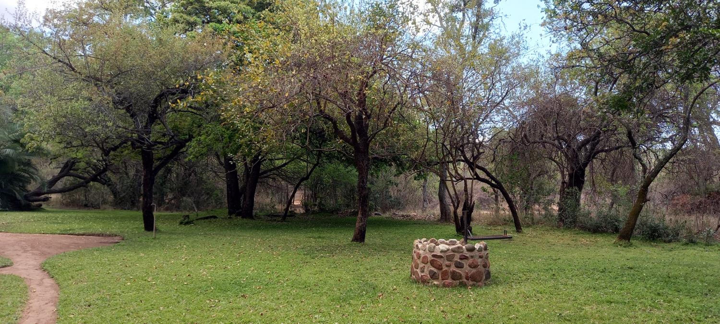 Photo 49