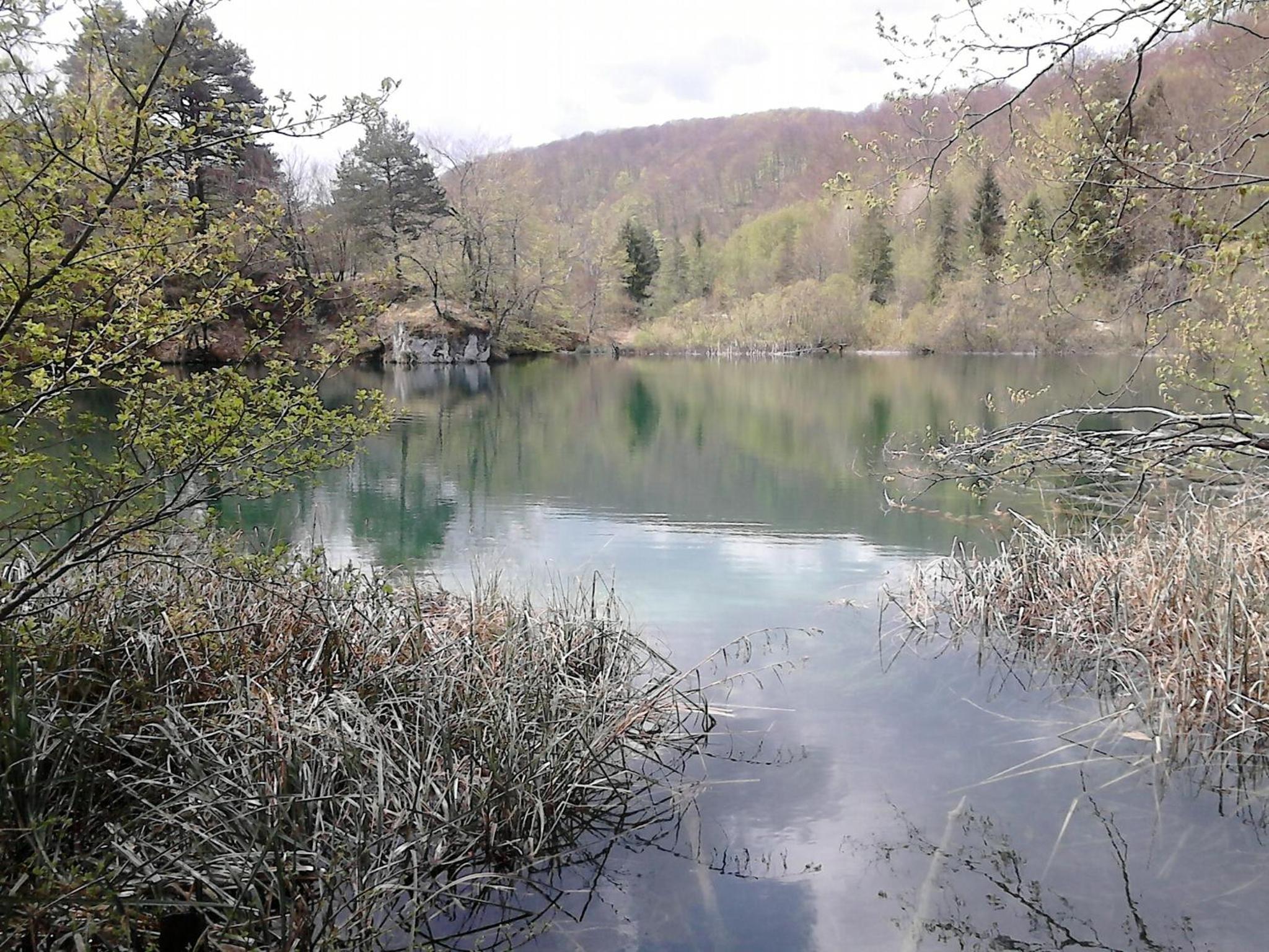 Photo 45