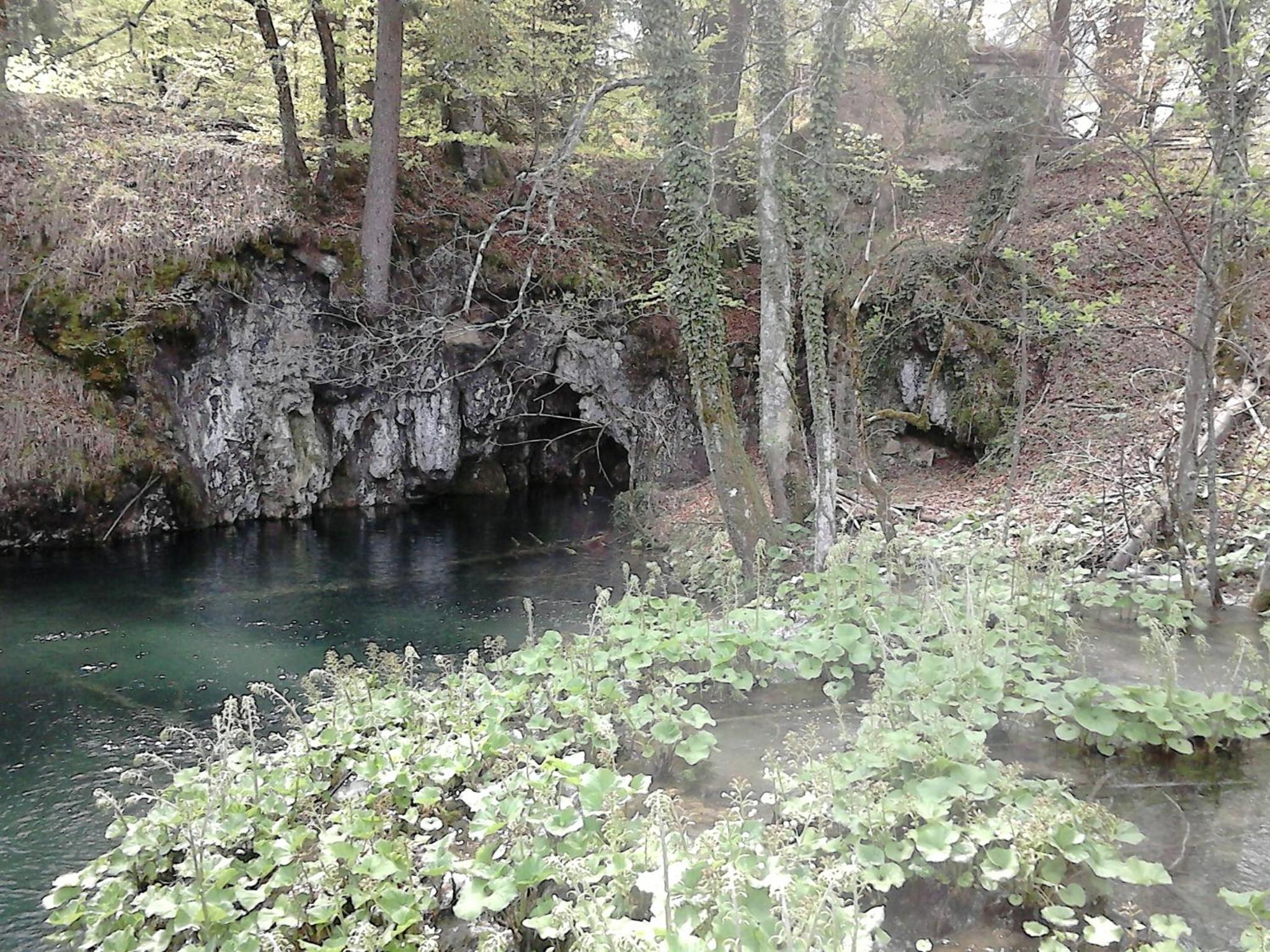 Photo 49