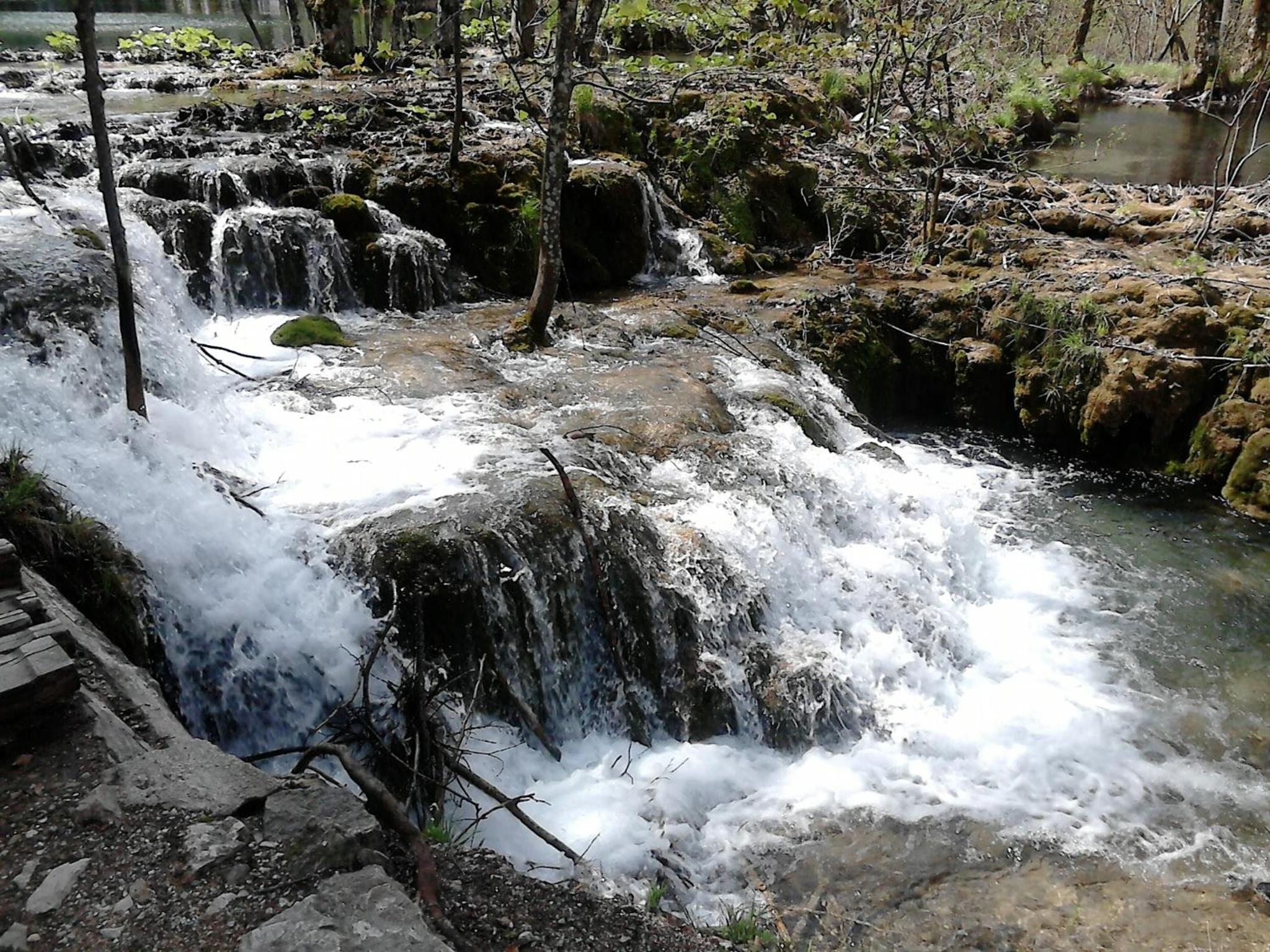 Photo 47