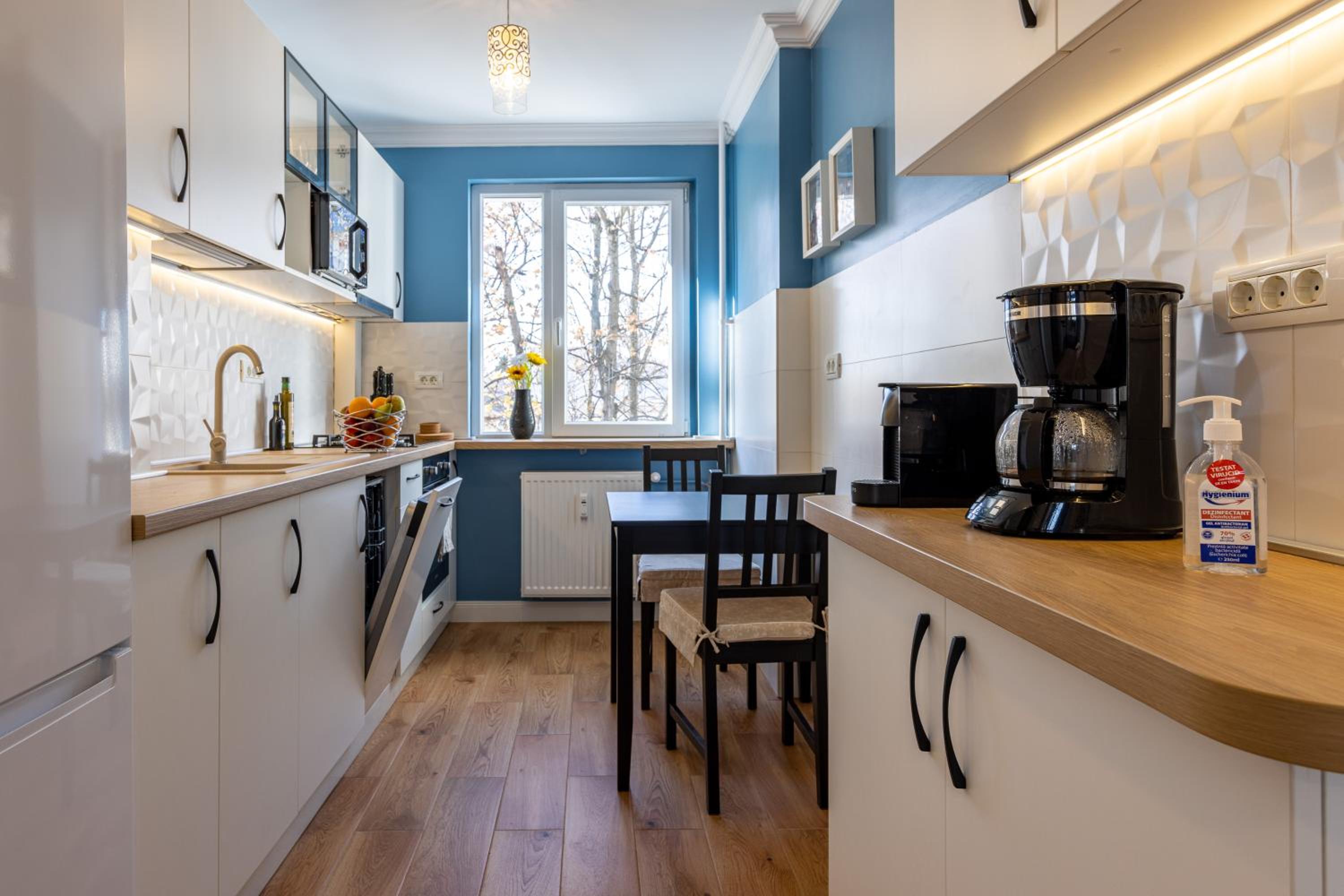 Luxury Cosy Apartment Central- Unirii Square/Old Town Adela Accommodation view 3