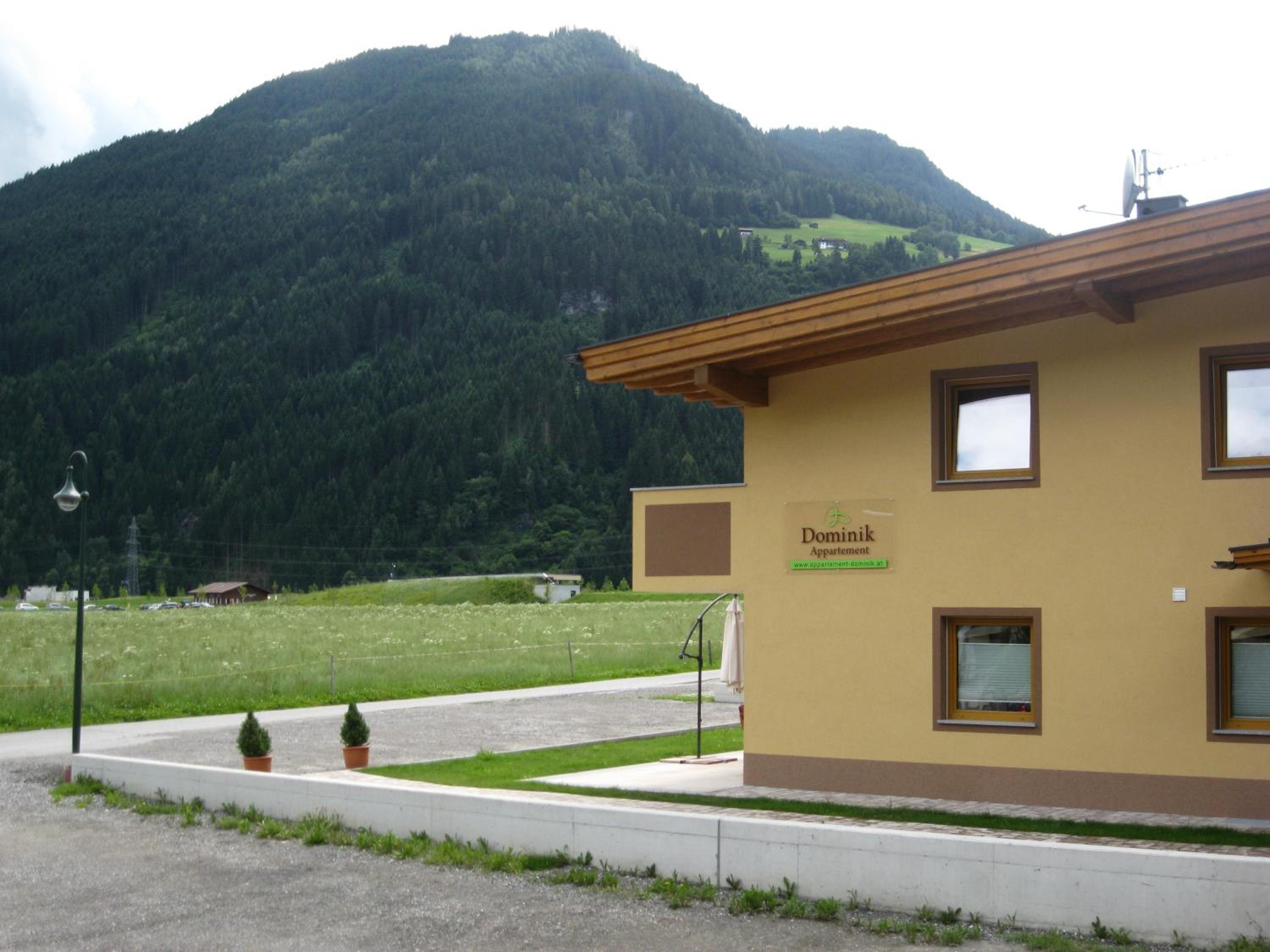 Photo 6