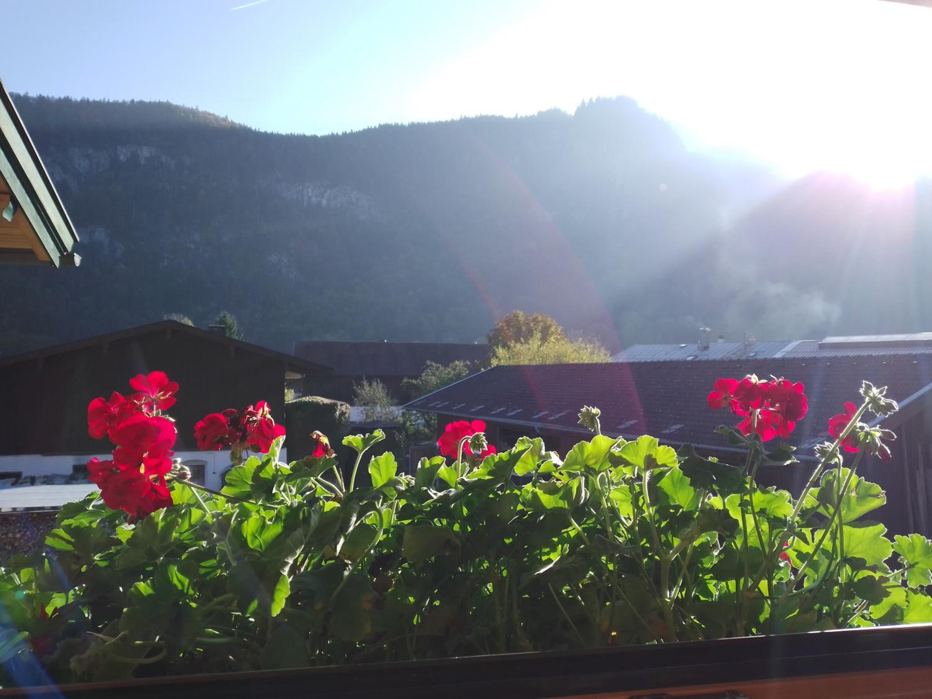 Ferienwohnung Bergzeit