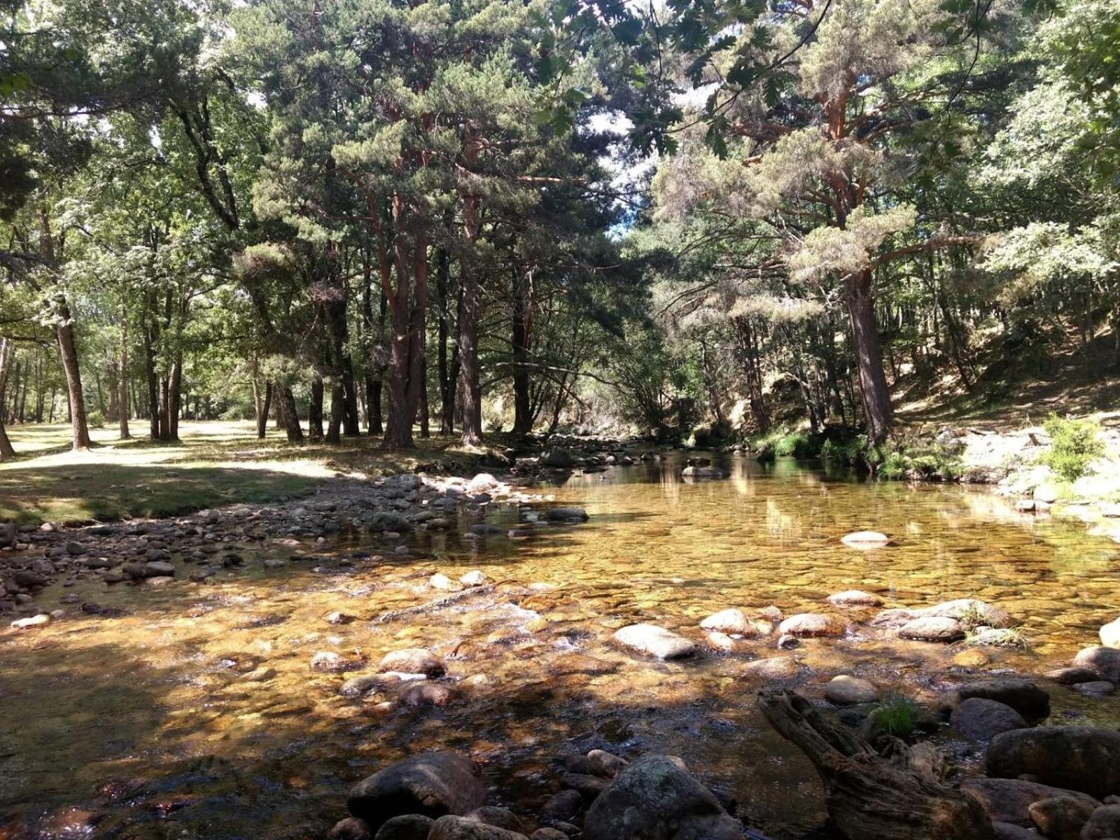 Photo 42
