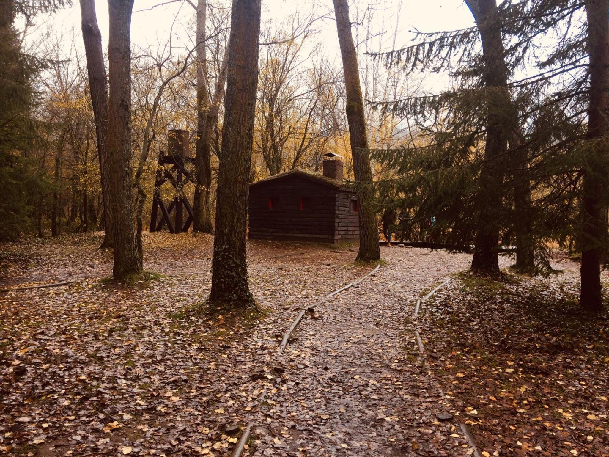 Photo 31