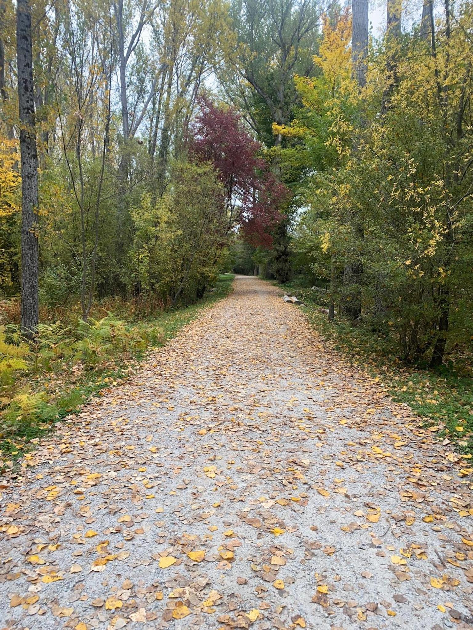 Photo 34