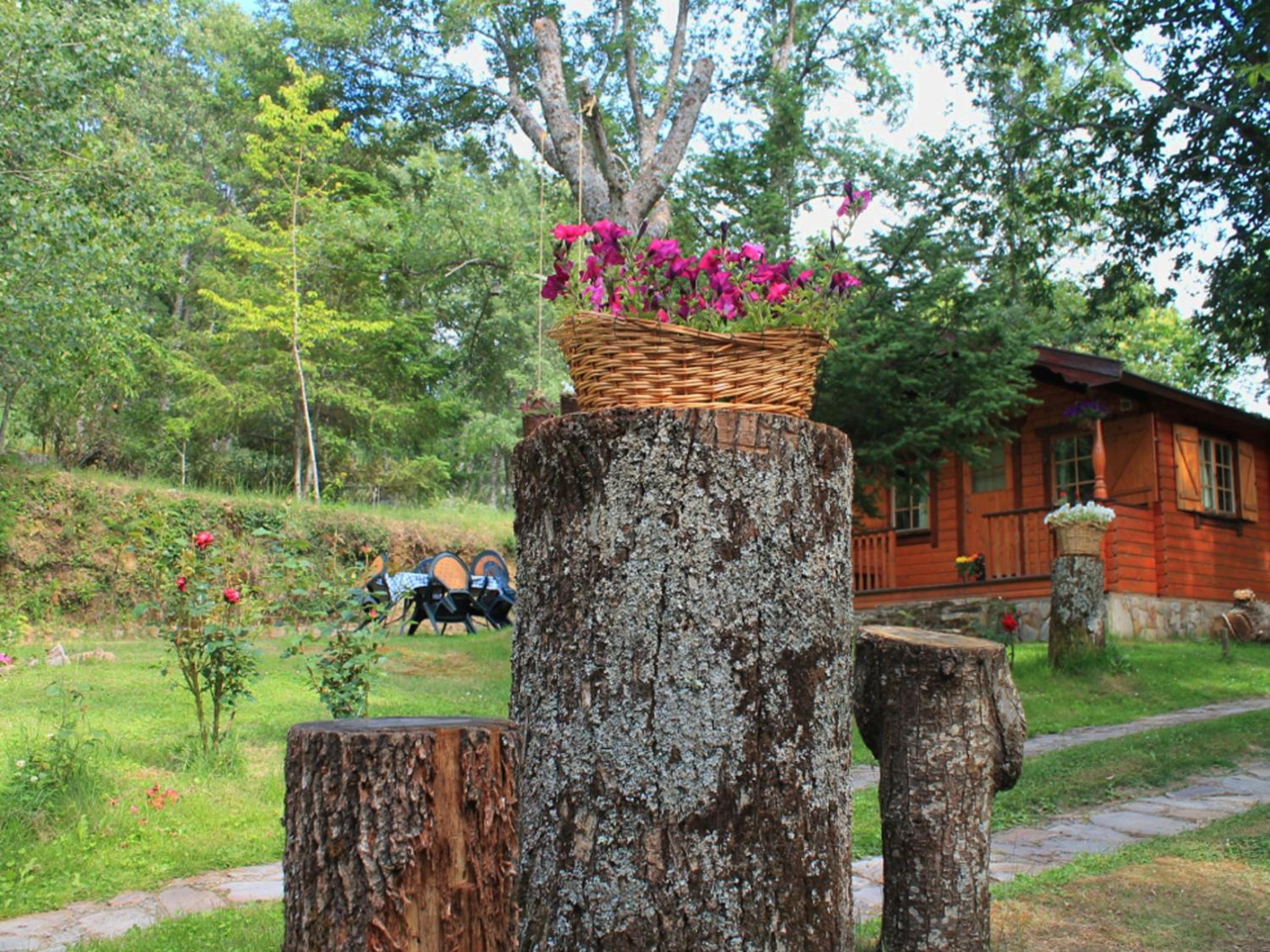 Cabañas de Madera Sanabria