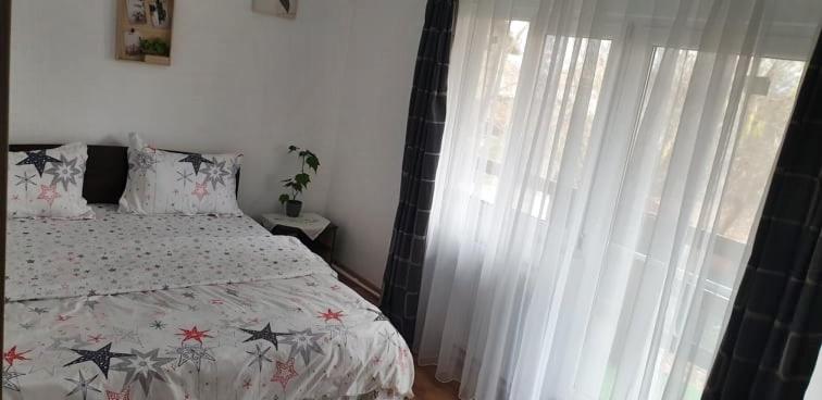 Vila Curtea de Arges view 5