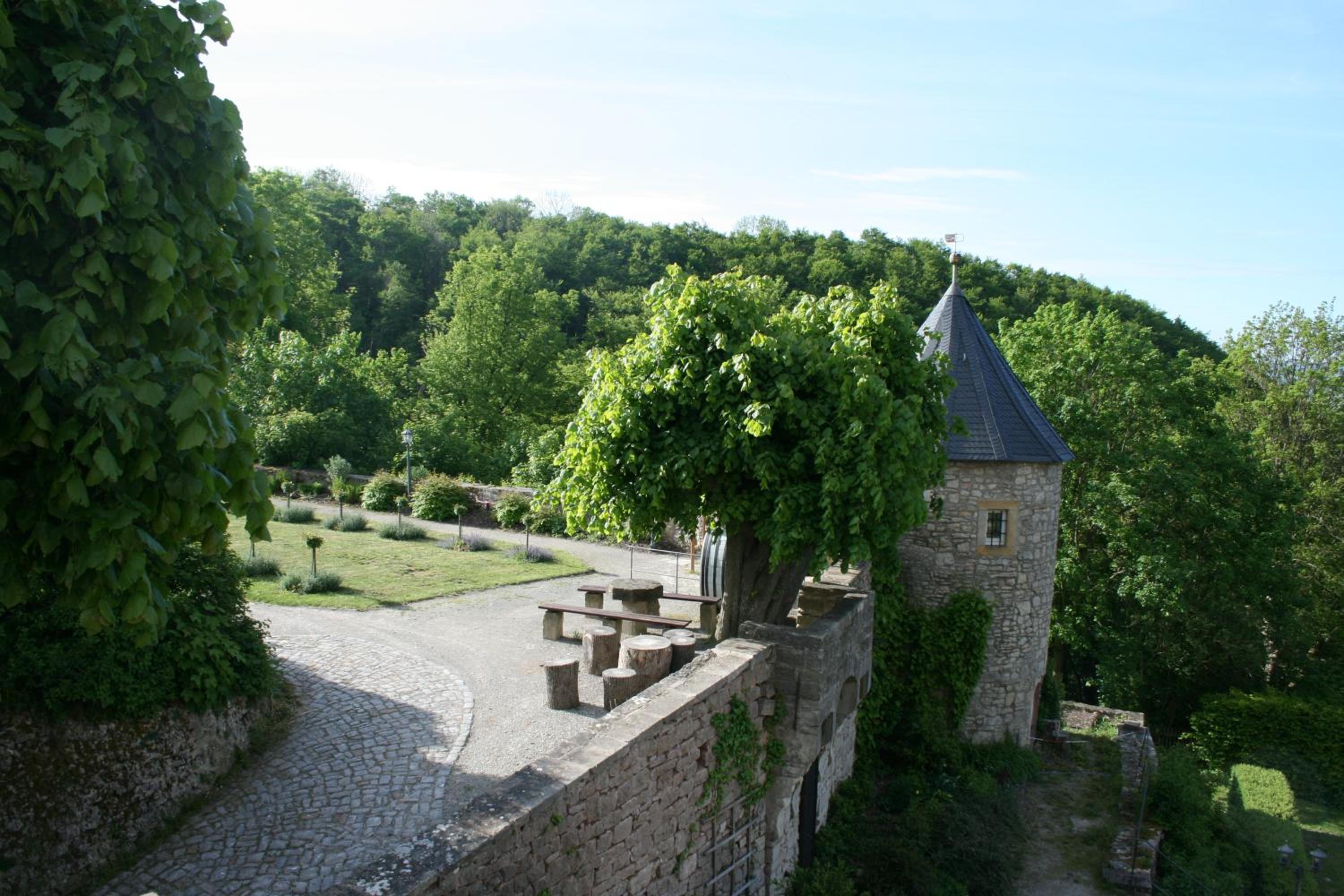 Burg Bodenstein view 5