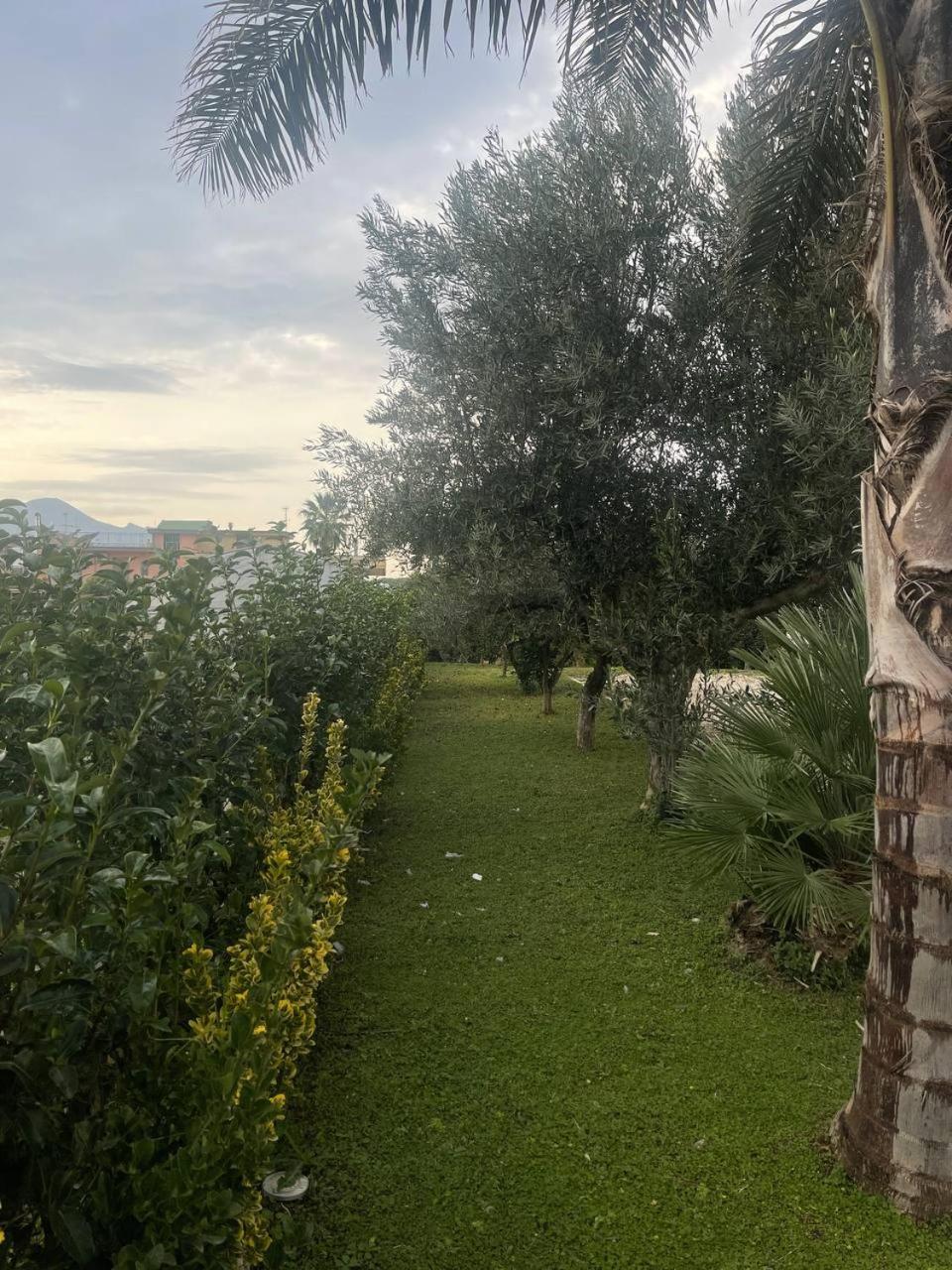 Casa Vacanze Paradise