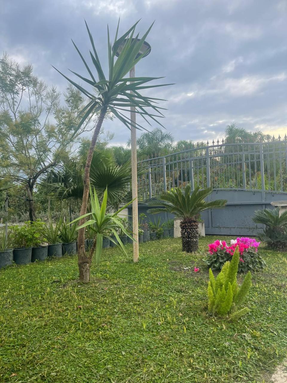 Casa Vacanze Paradise