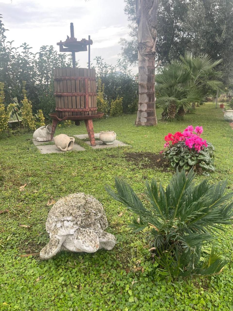 Casa Vacanze Paradise