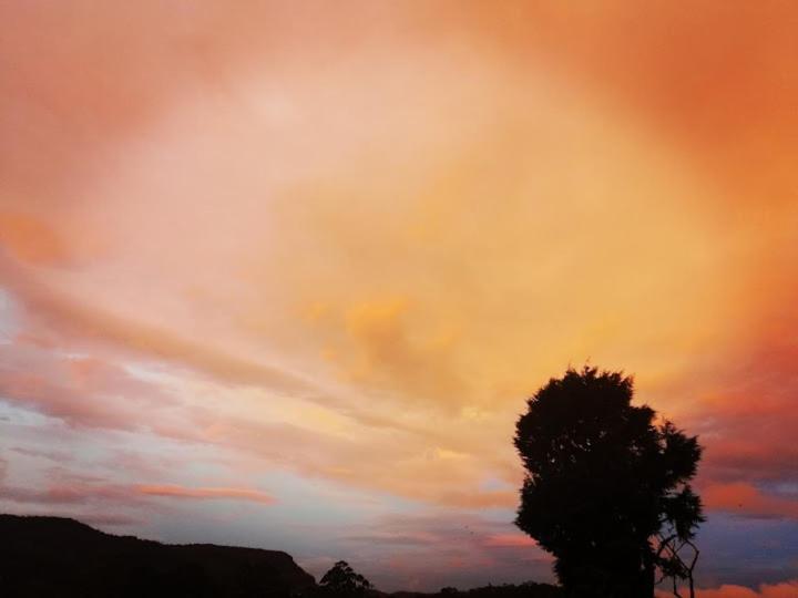 Photo 53