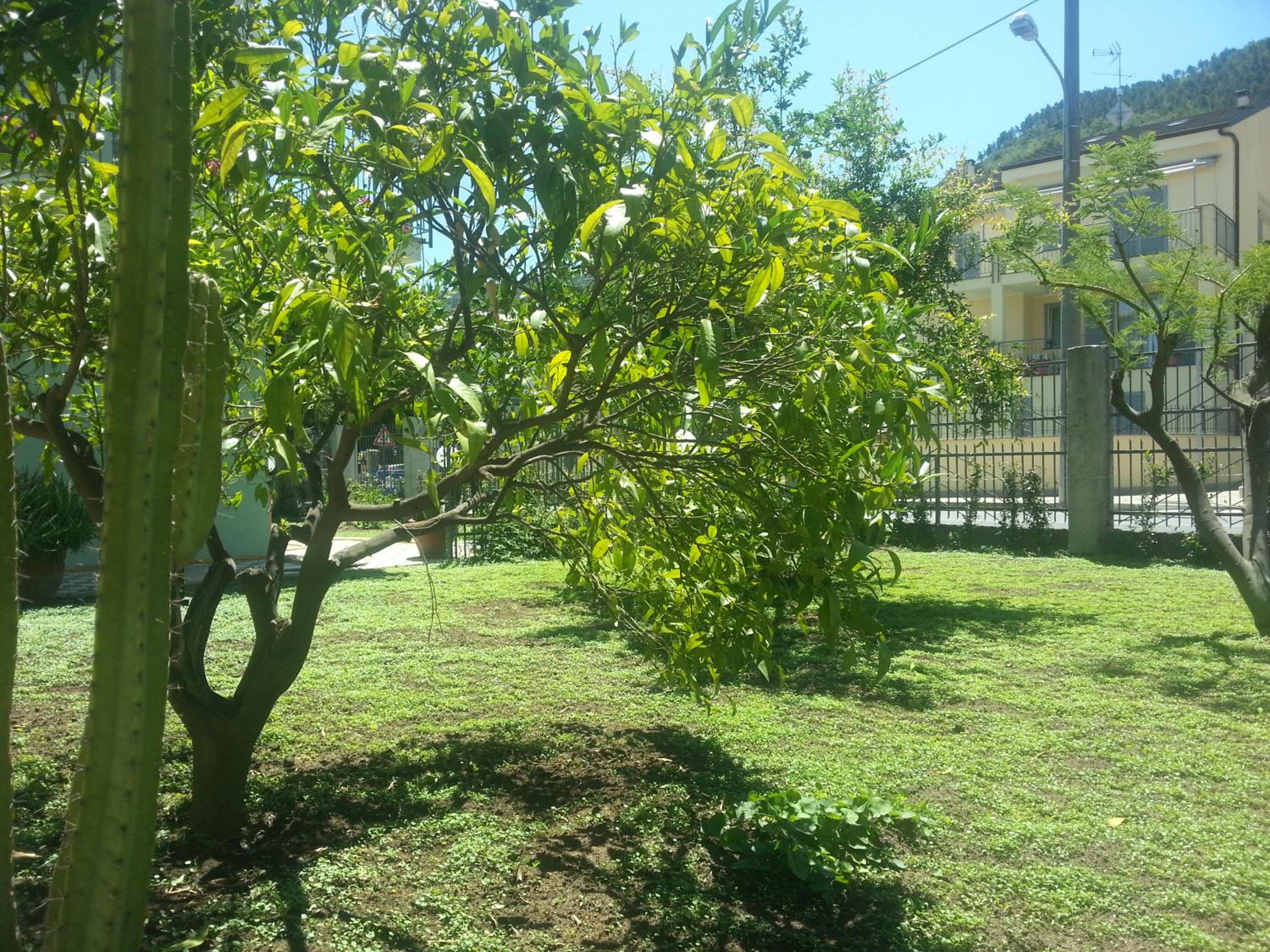 Photo 47