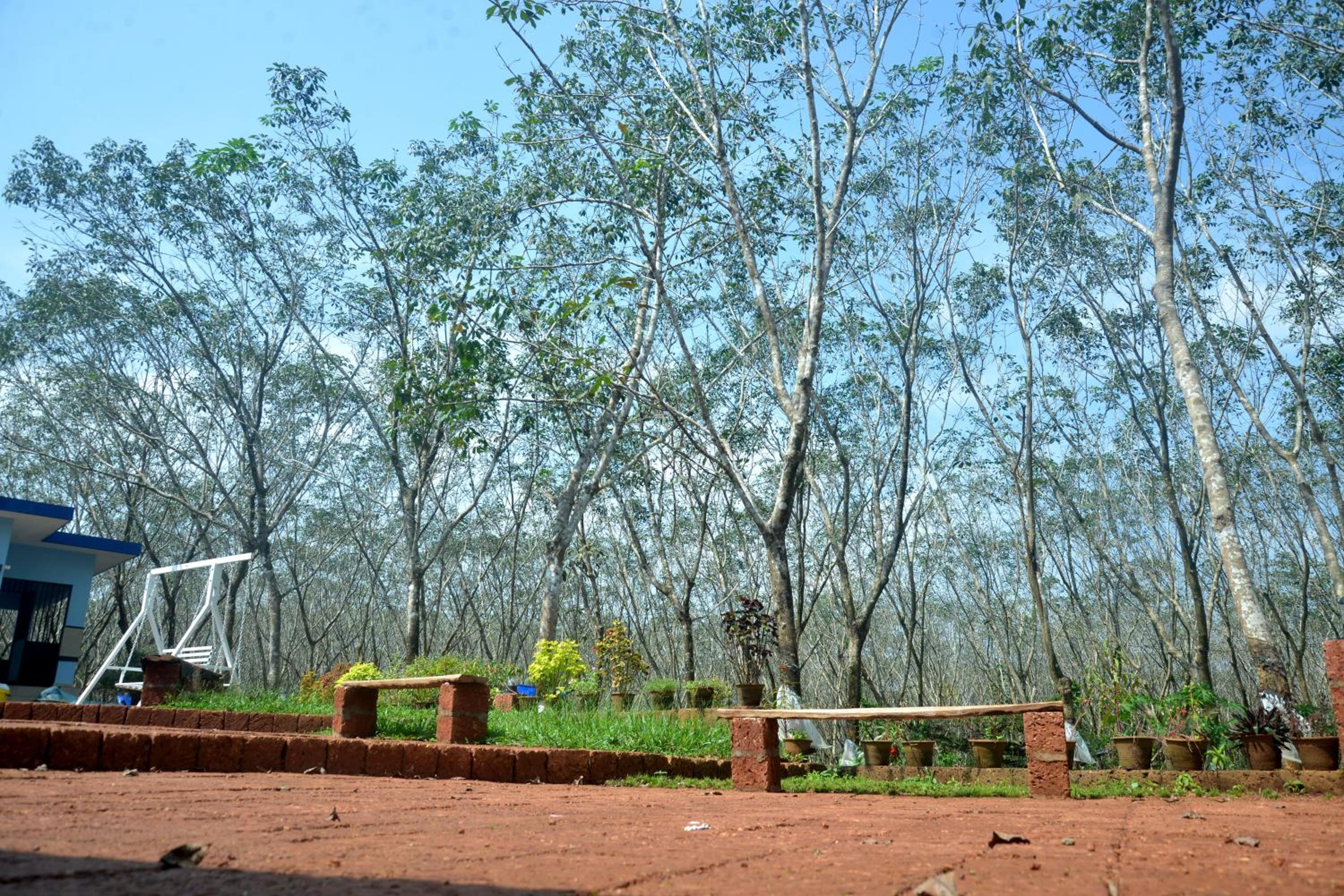 Kudil Mud Cottages, Cheemeni view 4