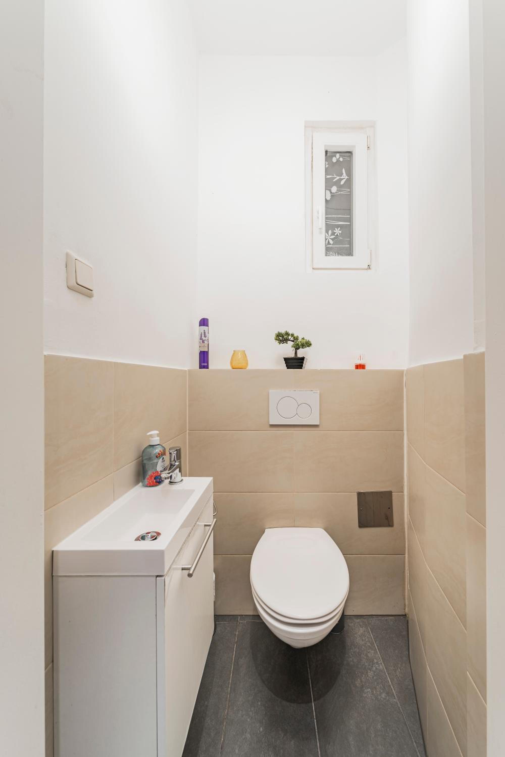 ZEUS Design Apartments Herz