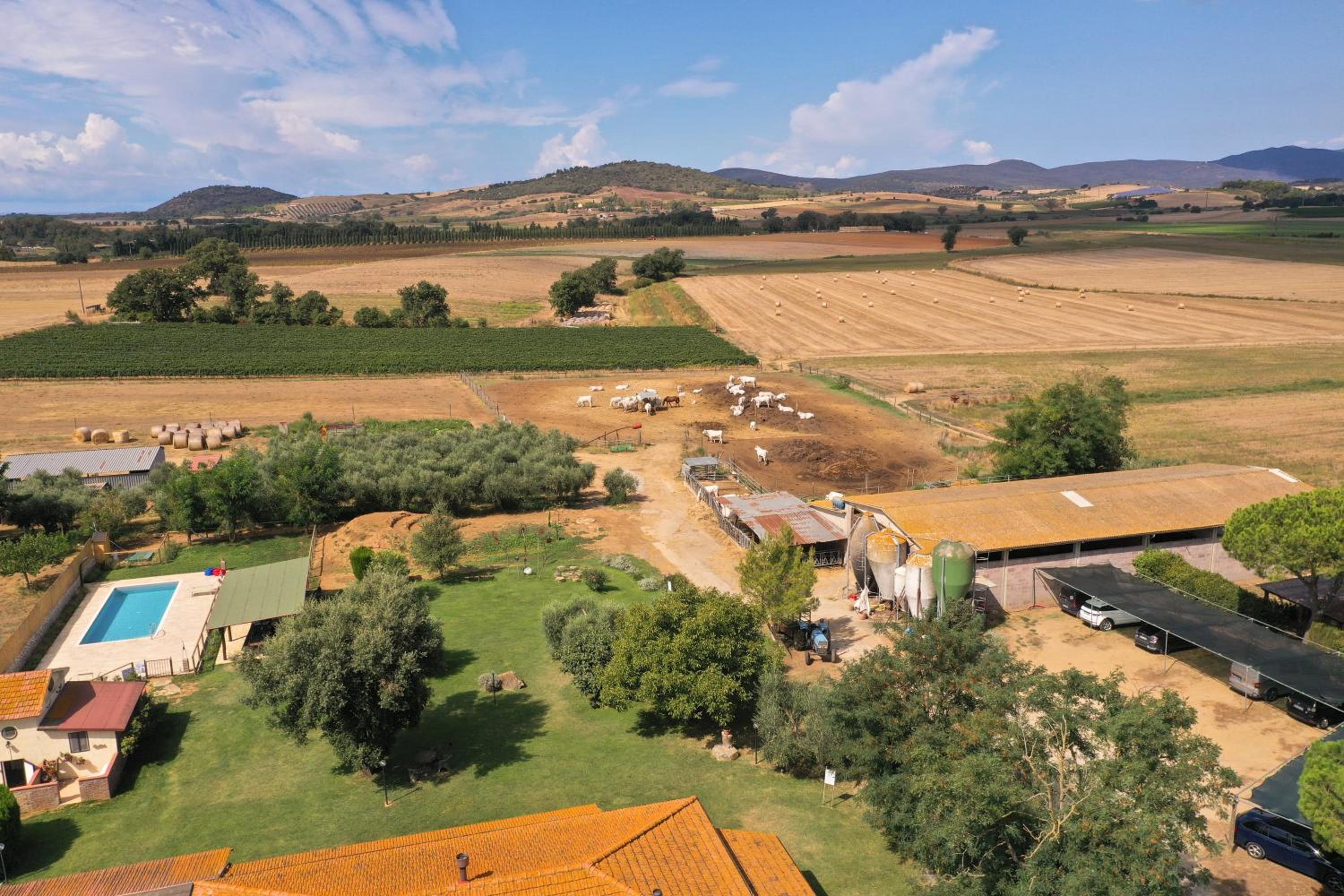 Agriturismo Al Girasole