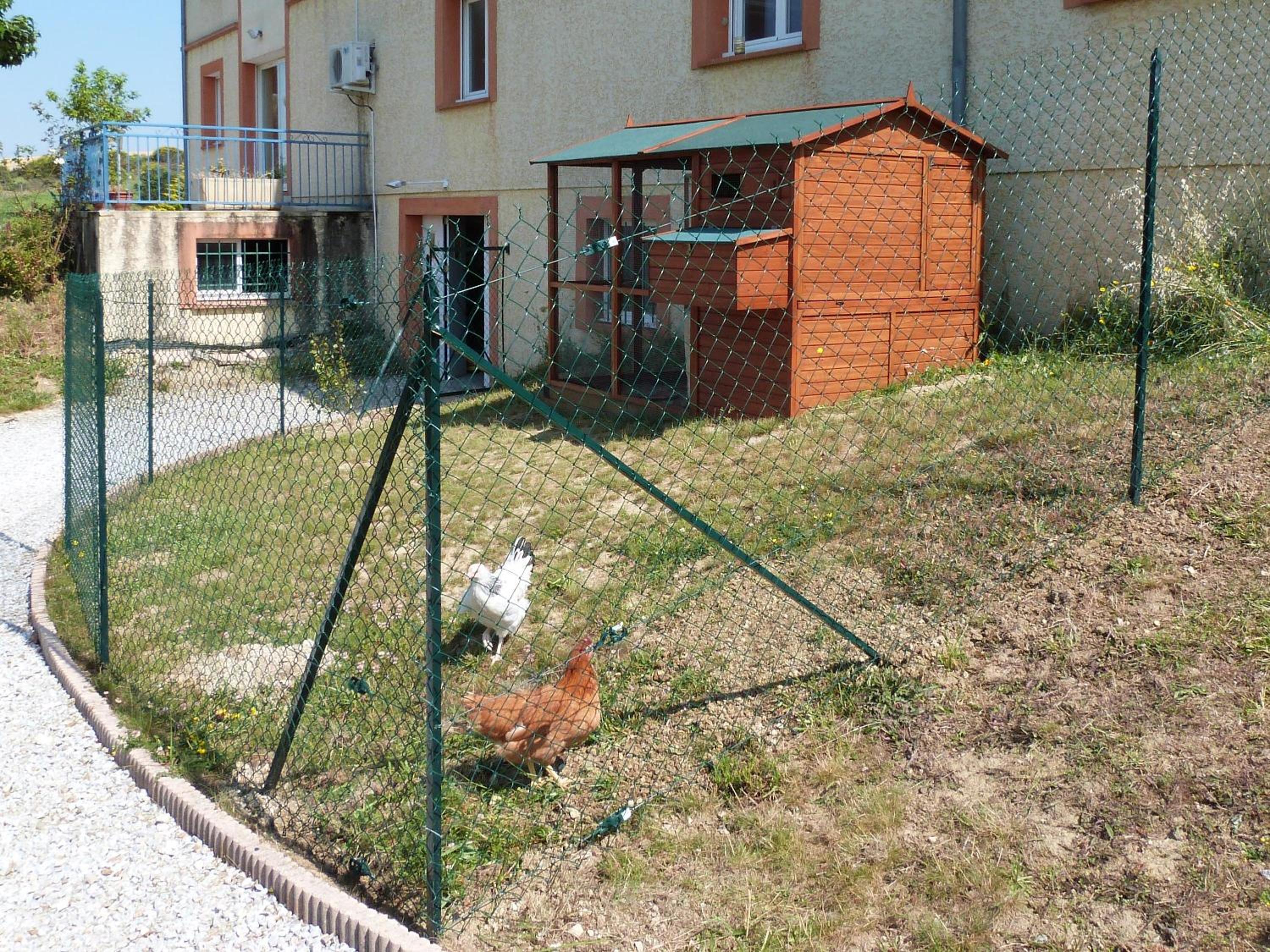 Photo 20