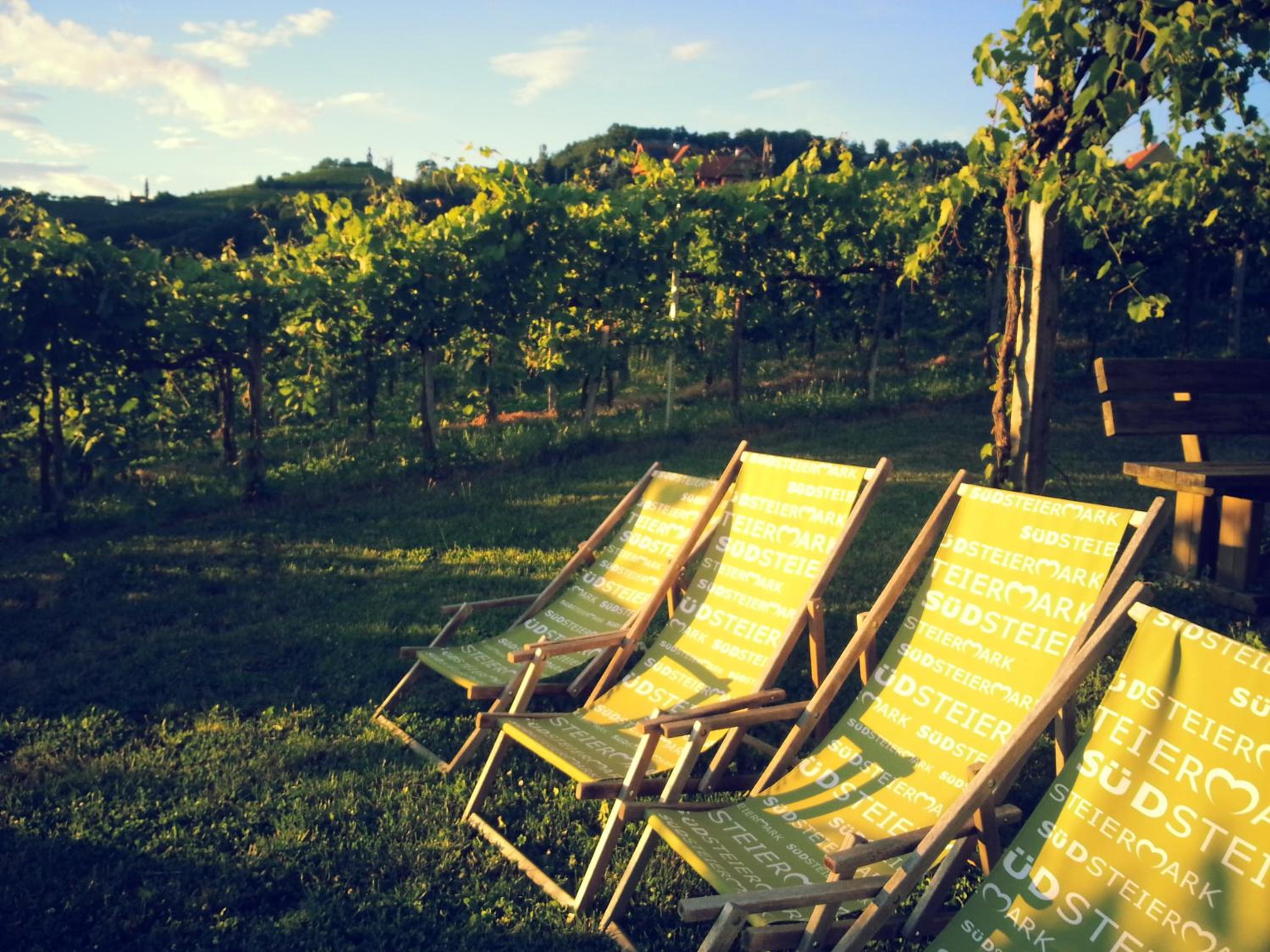 Weingut Reiterer