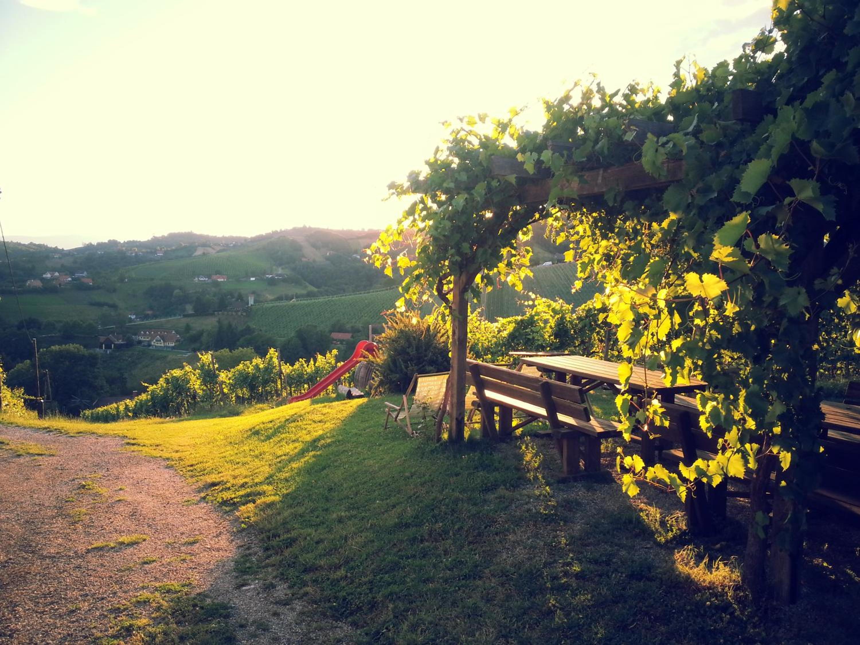Weingut Reiterer