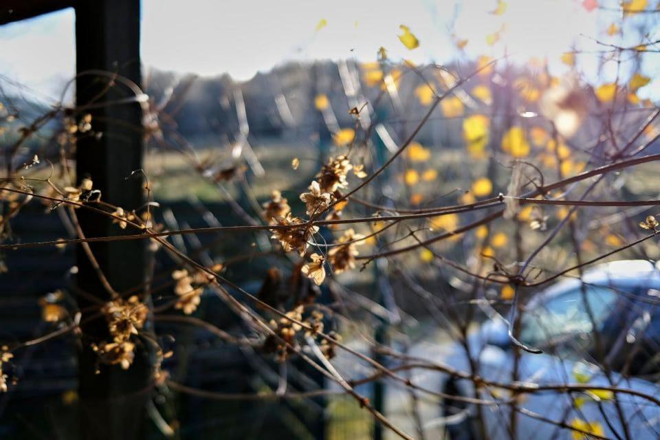 Photo 52