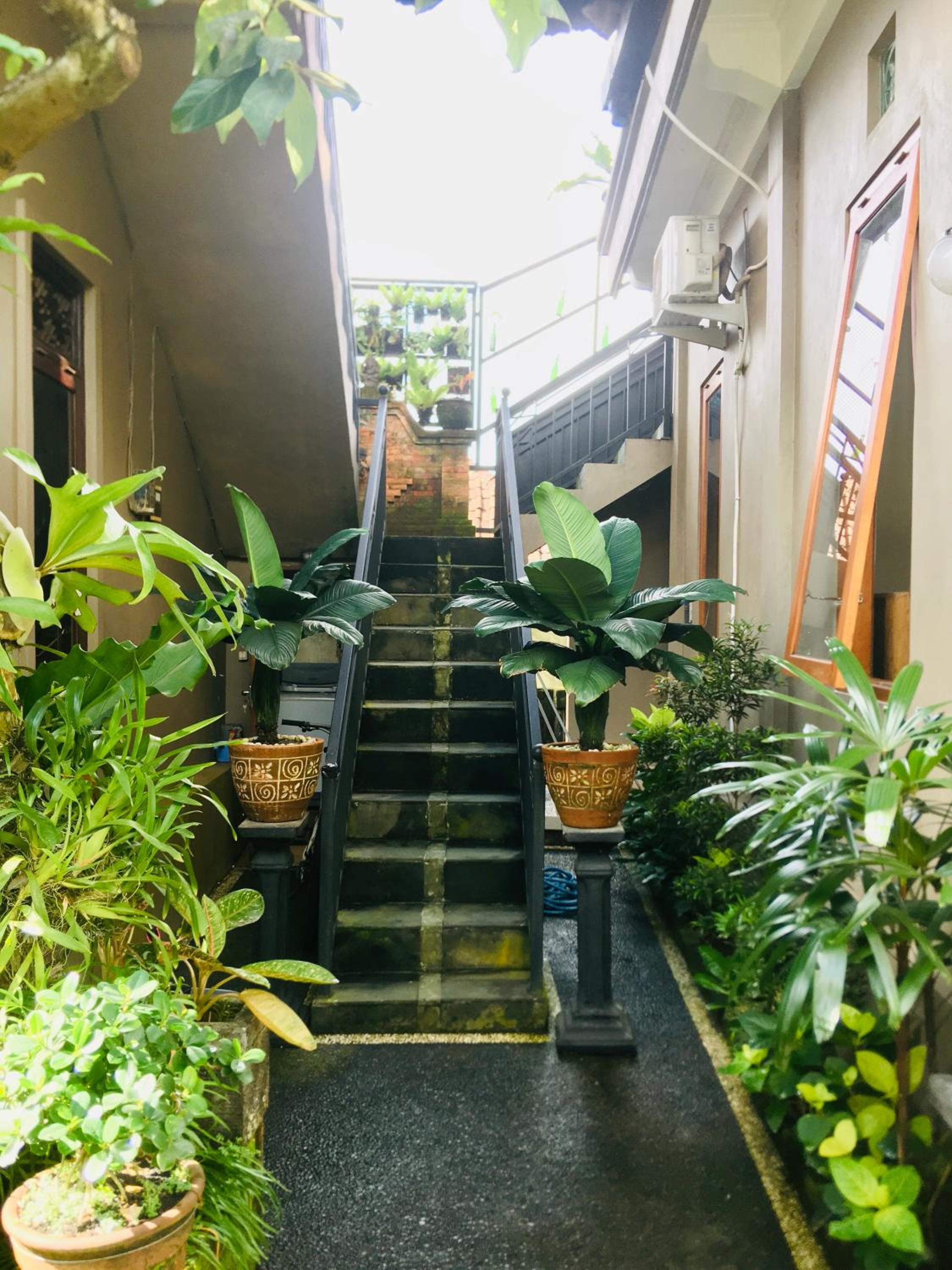 Wina Ubud B&B